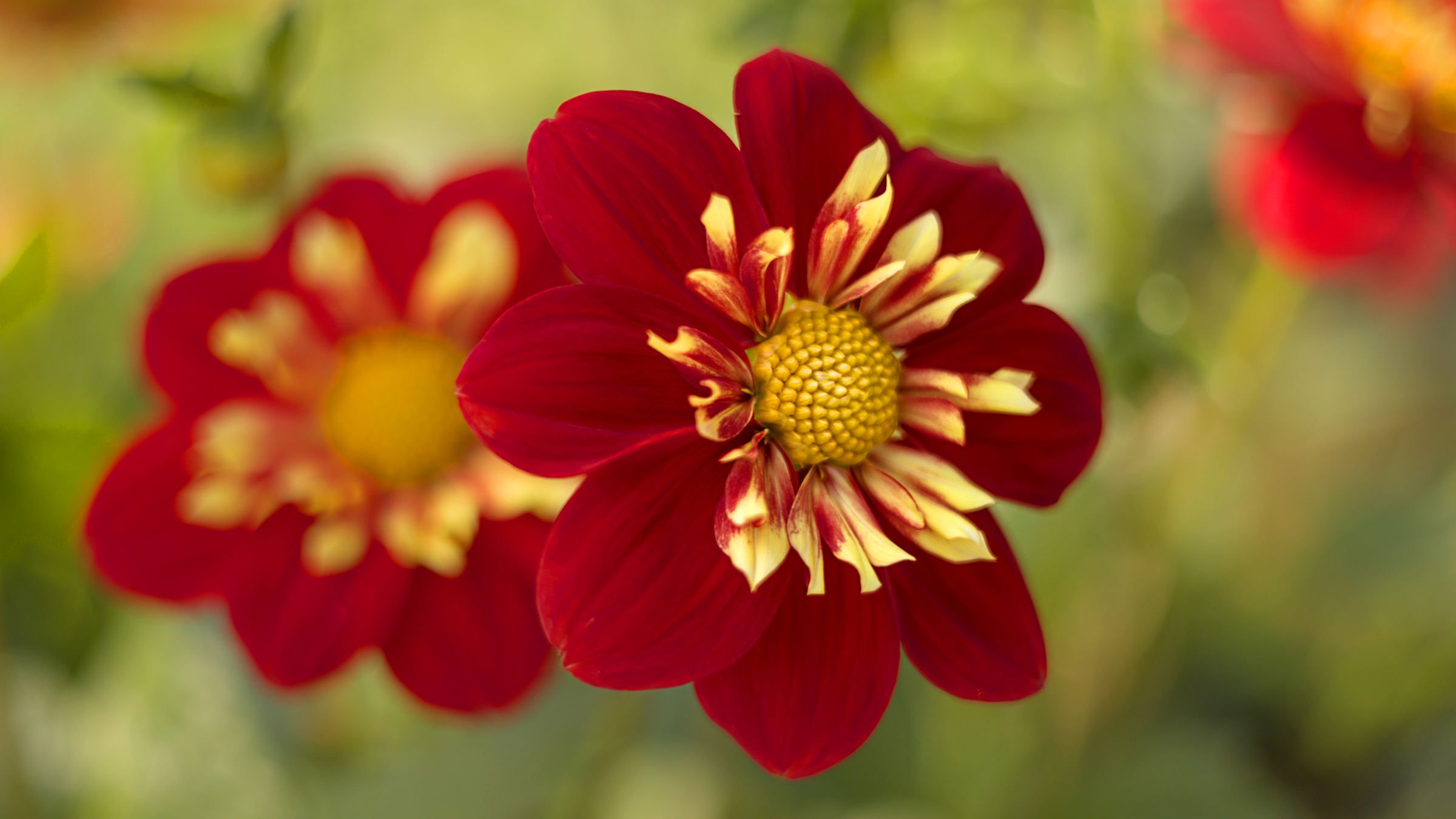 Student Q&A with Guy on 