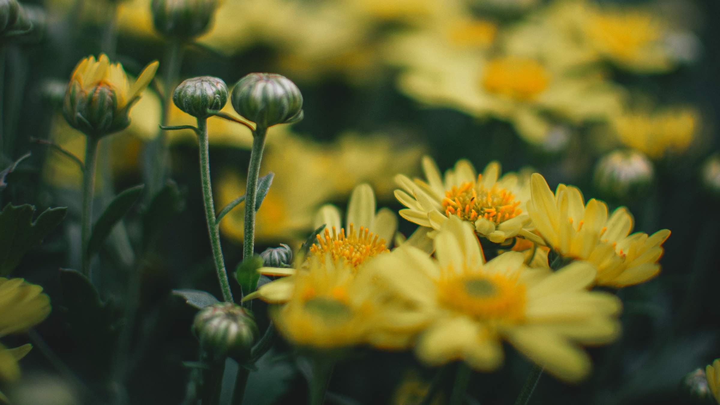 Student Q&A with Guy on 