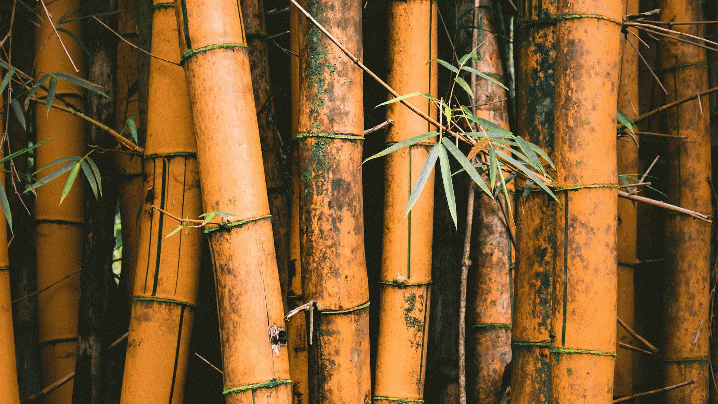 The Invaluable Meditation Practice of Being Consciously Uncomfortable