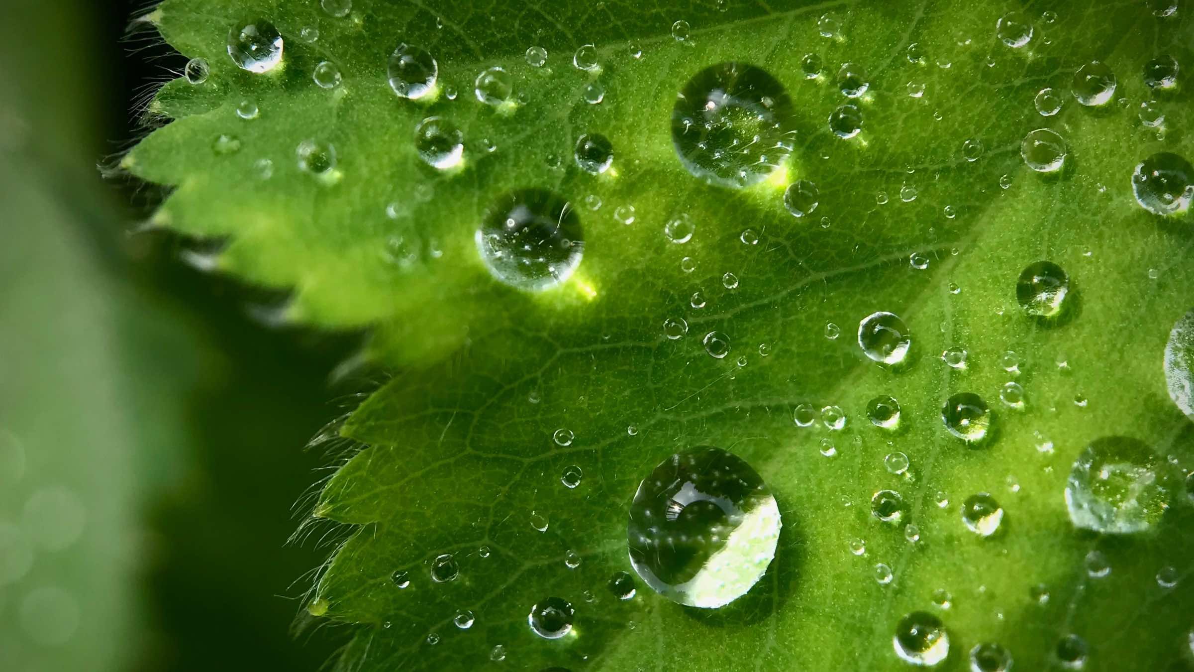 Student Q&A with Guy on 