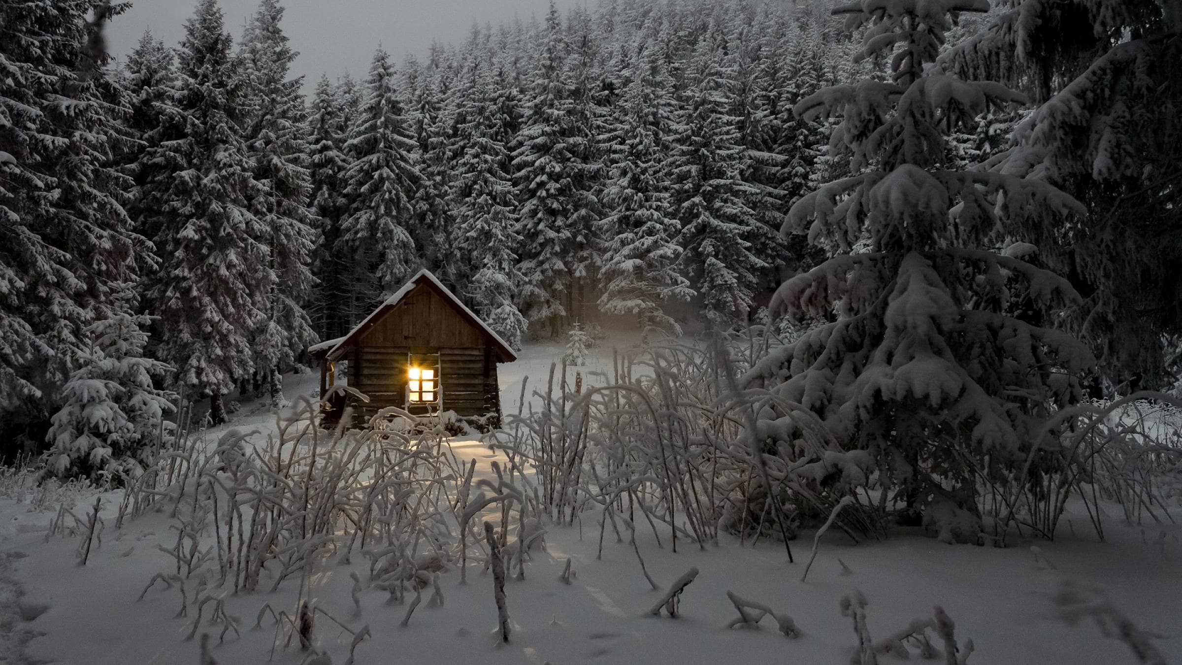 There's No Place Like Home