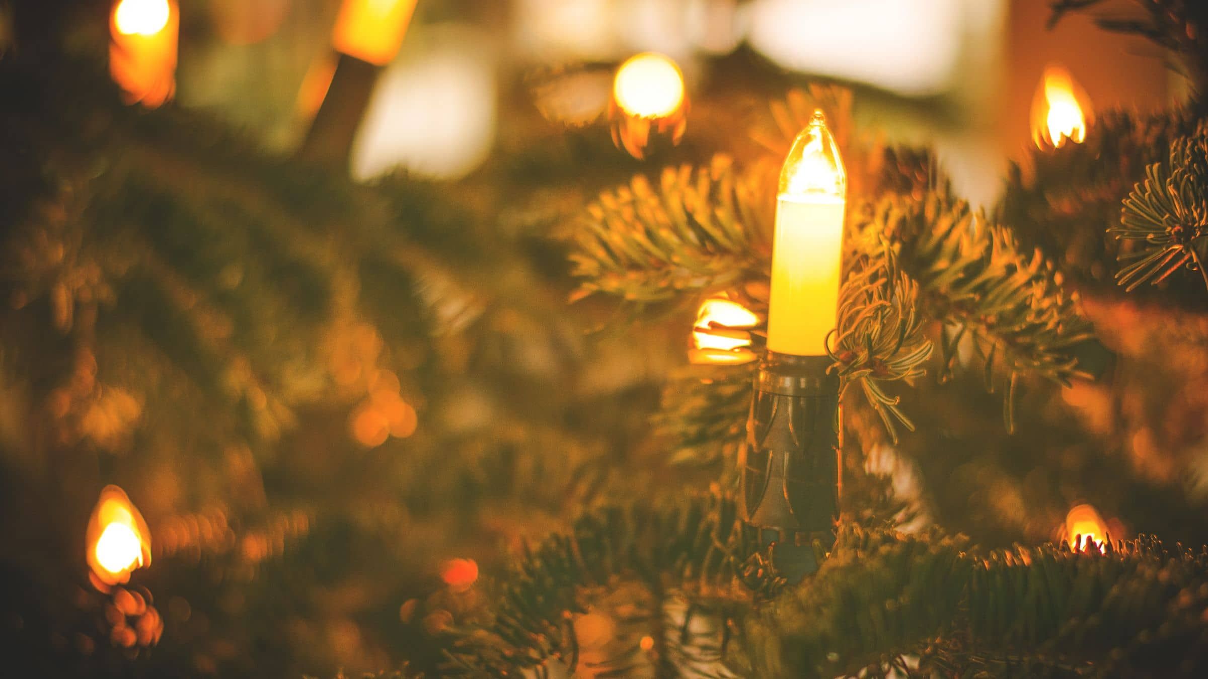 A Whole New Christmas Story