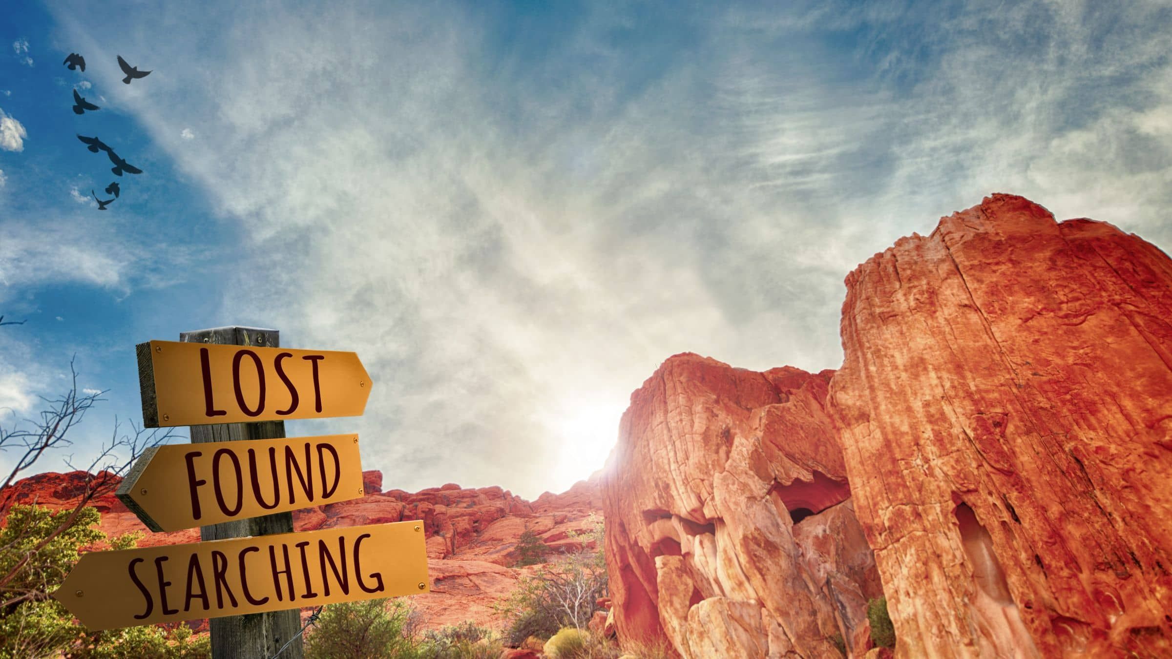 Save 30 Years of Spiritual Search and Struggle