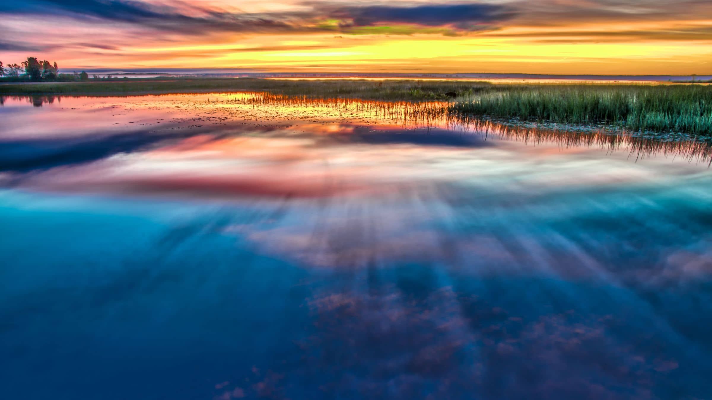 Wait for Peace to Appear