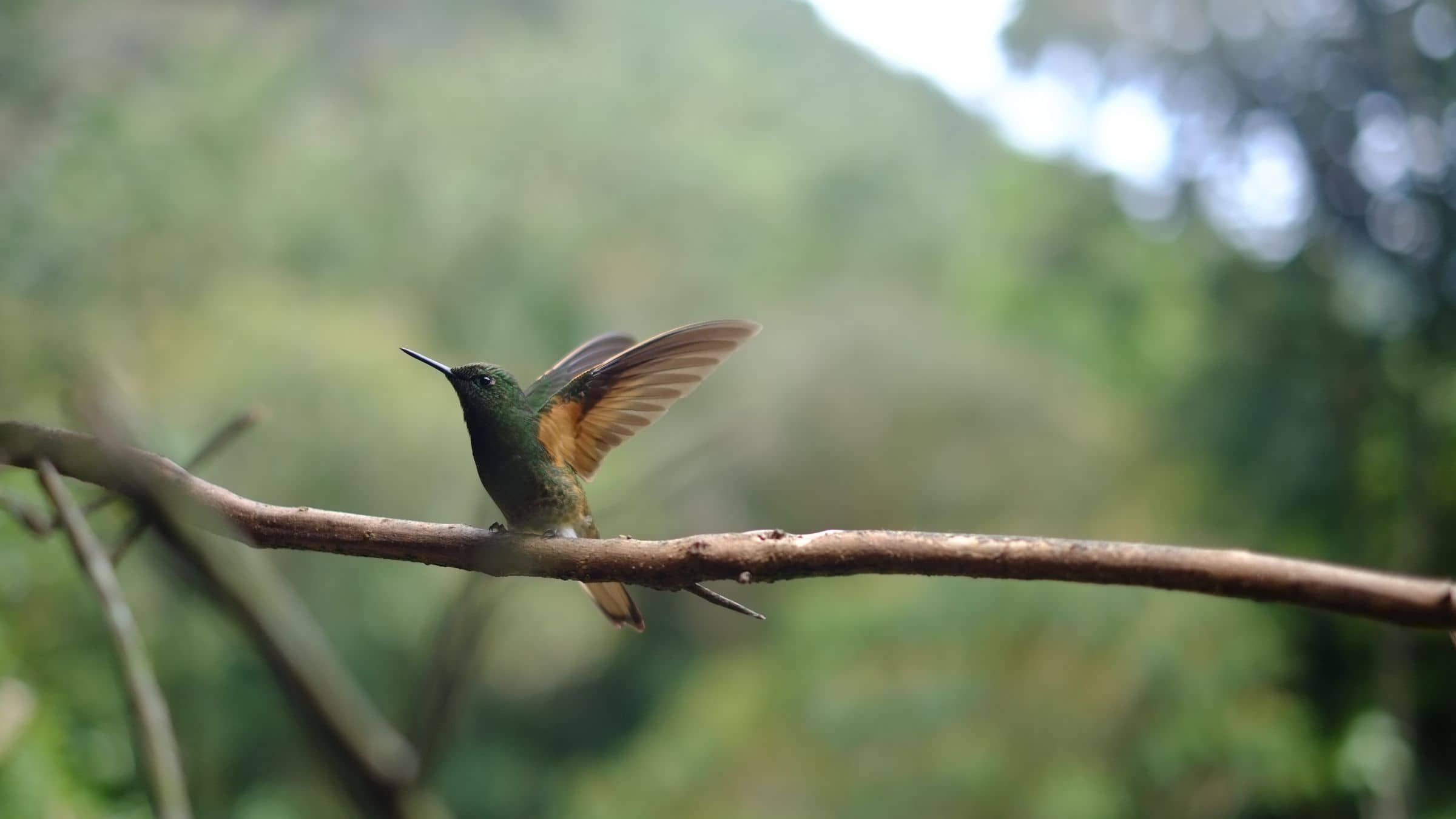 Realize the Potential to Live Perfectly Free