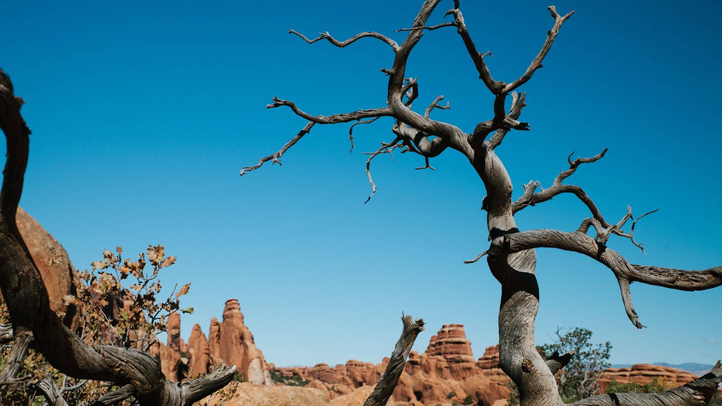 Stop Squandering Your Spiritual Possibilities