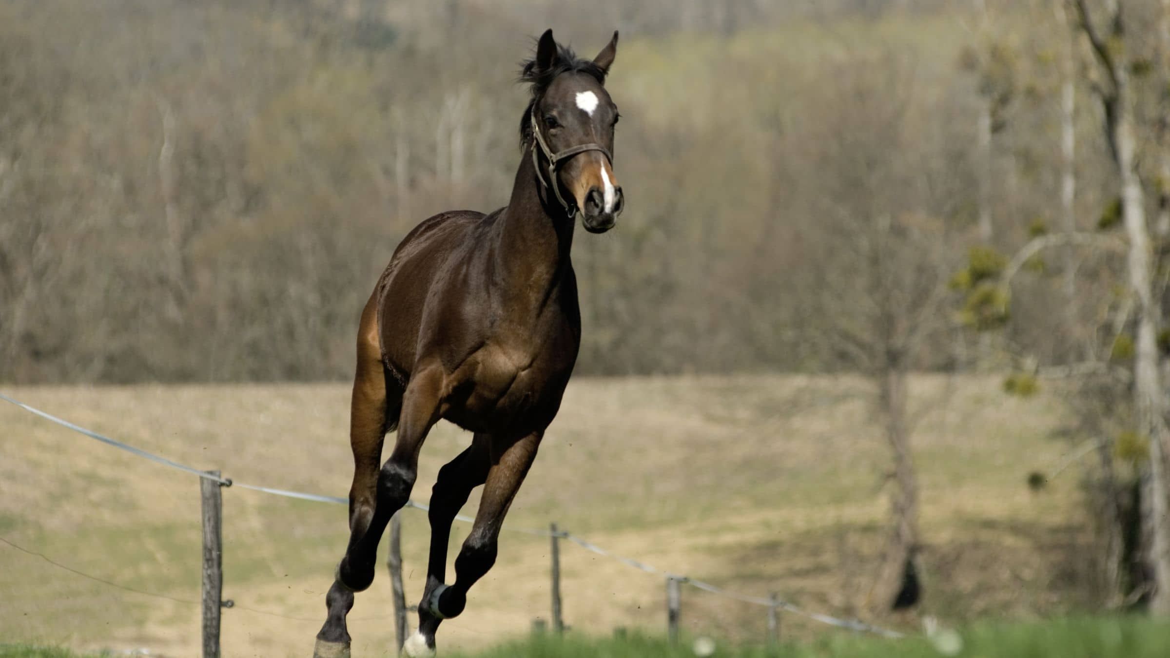 The Power to Turn Faith into a Freeing Fact