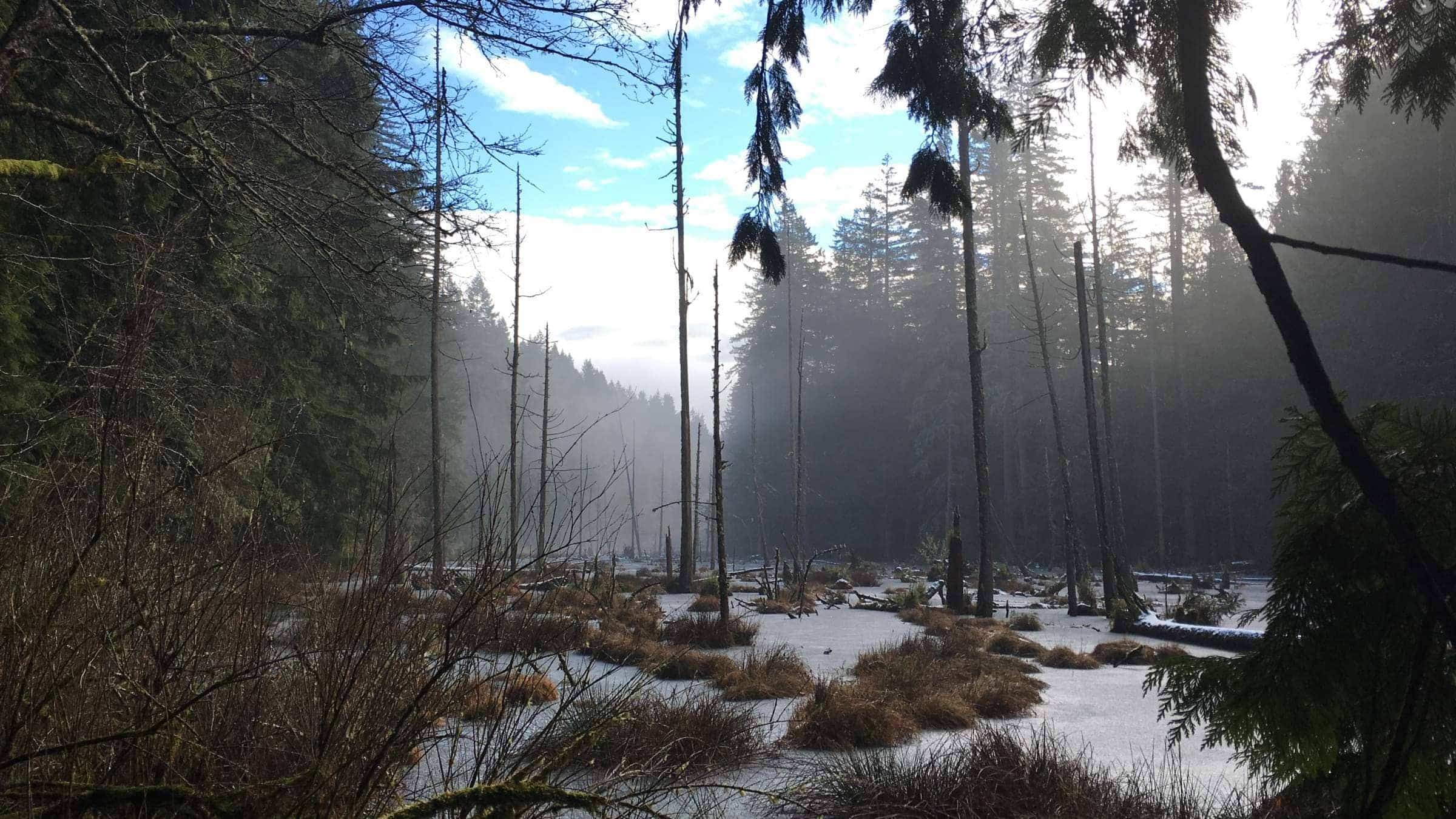 Make it Safely Through the Spiritual Swamps of Darkness