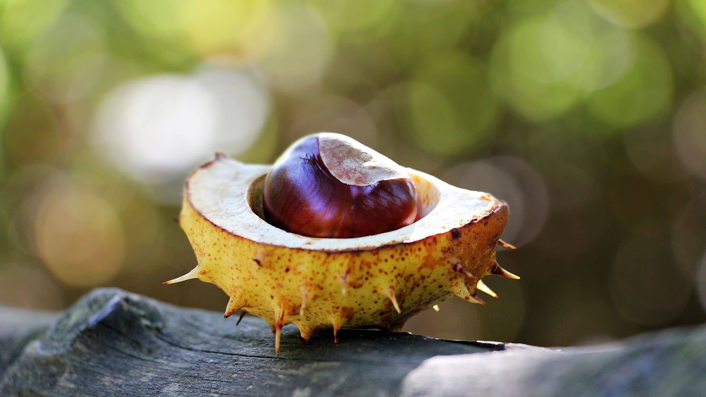 Awaken the Changeless Self that Sleeps in You