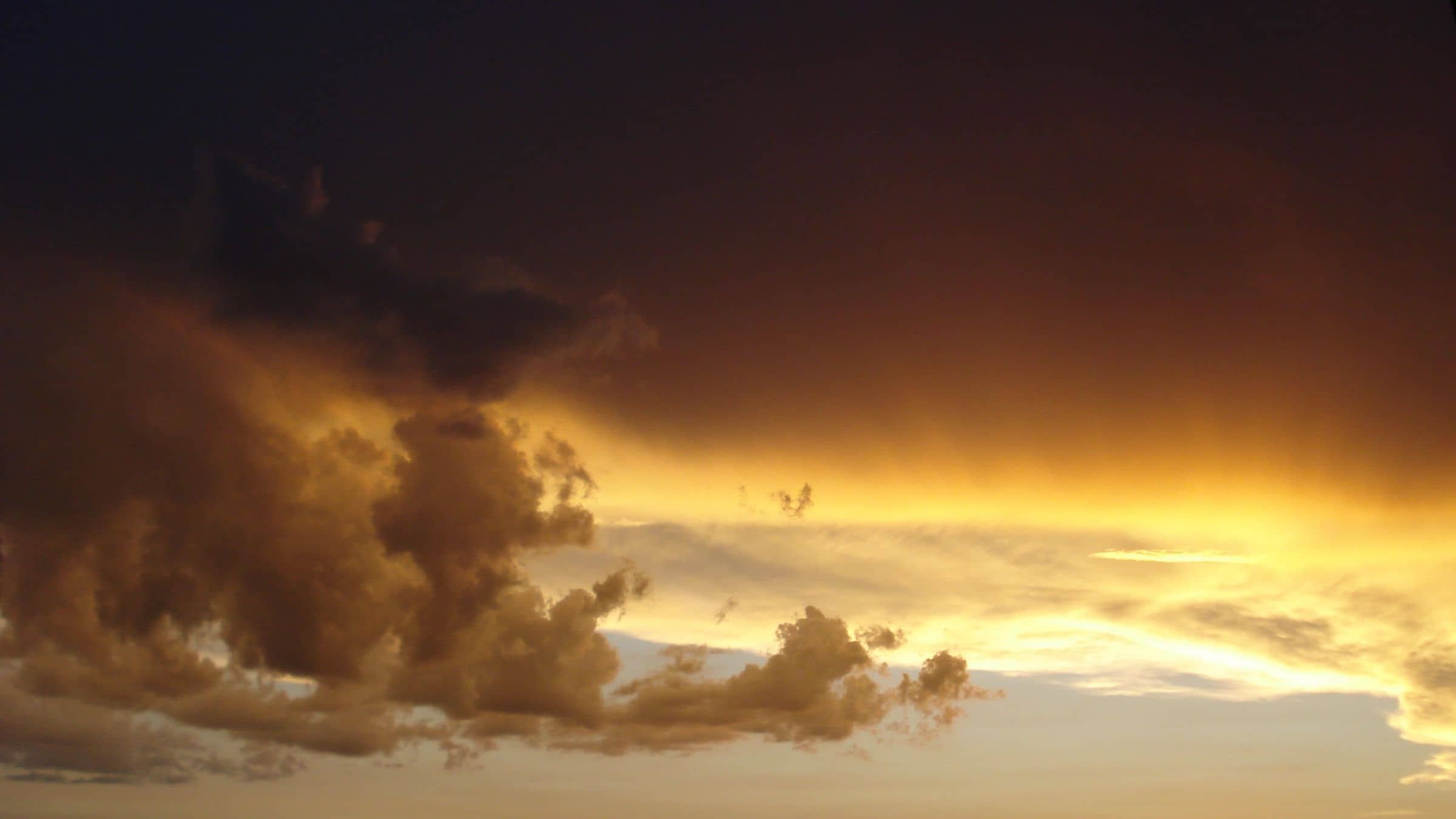 The Triumph of God's Life