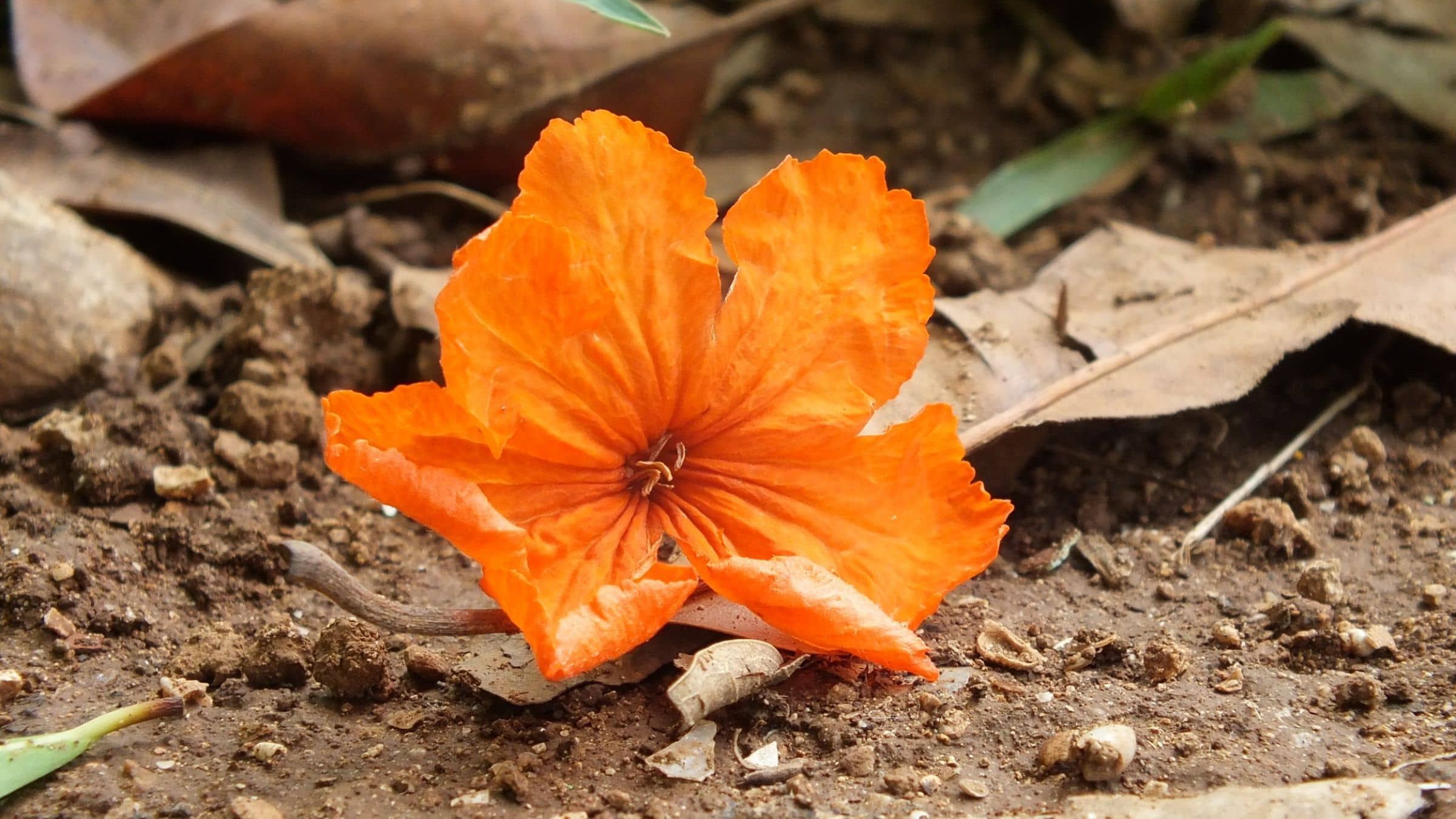 Let Love Use You For It's Life