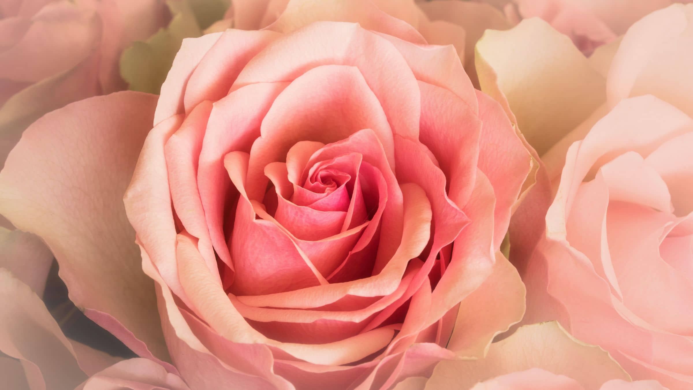 Give Yourself a Chance to Know the Greatest Love of All