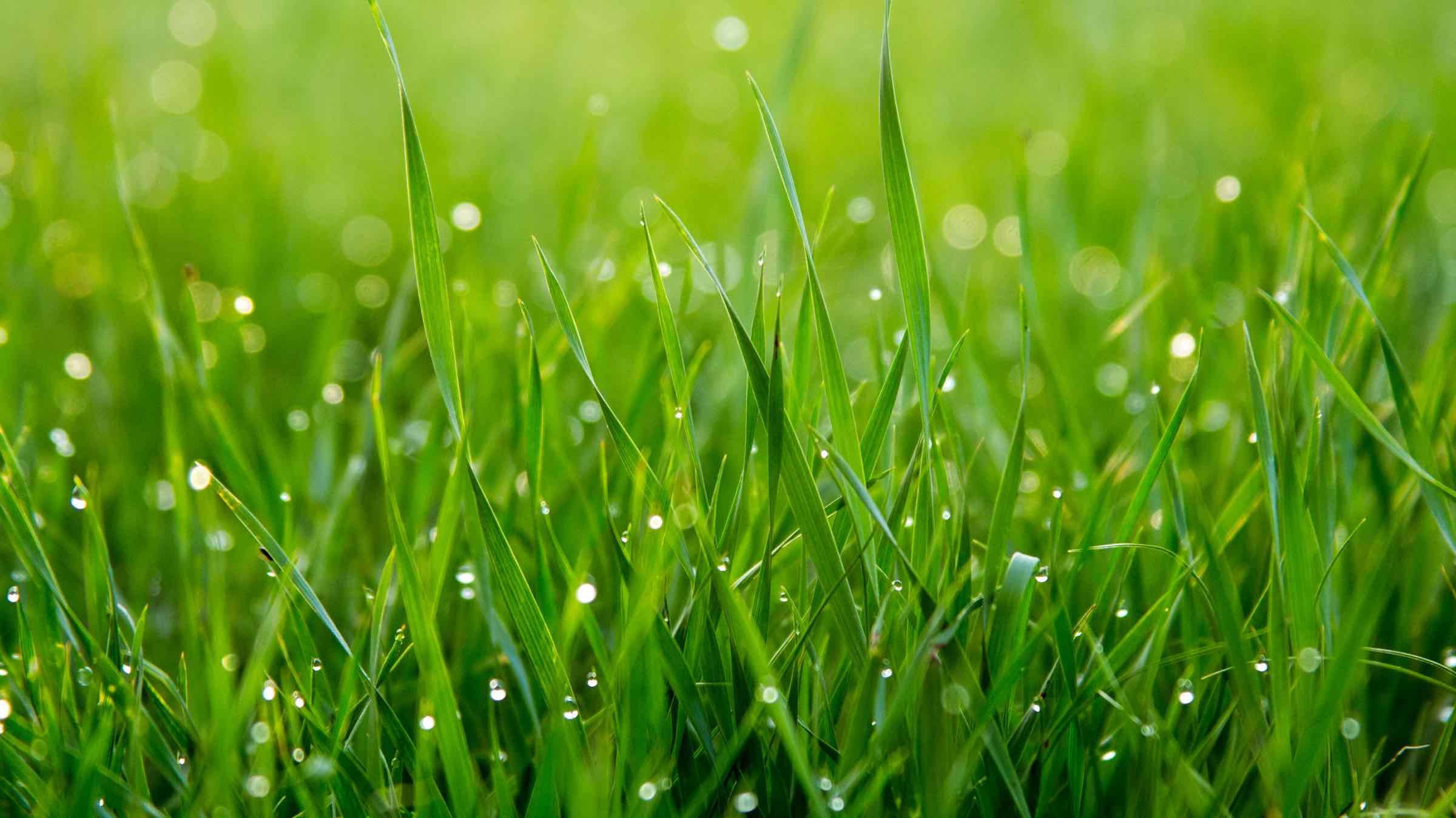 What is it That Creates Balance in a Human Being?