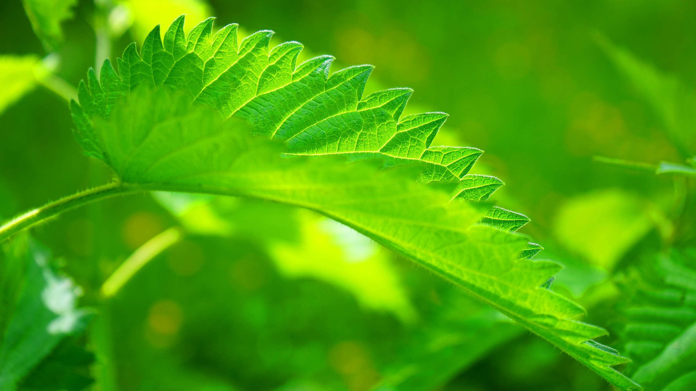 Online Study Group Meeting for Monday (7/17/2023)