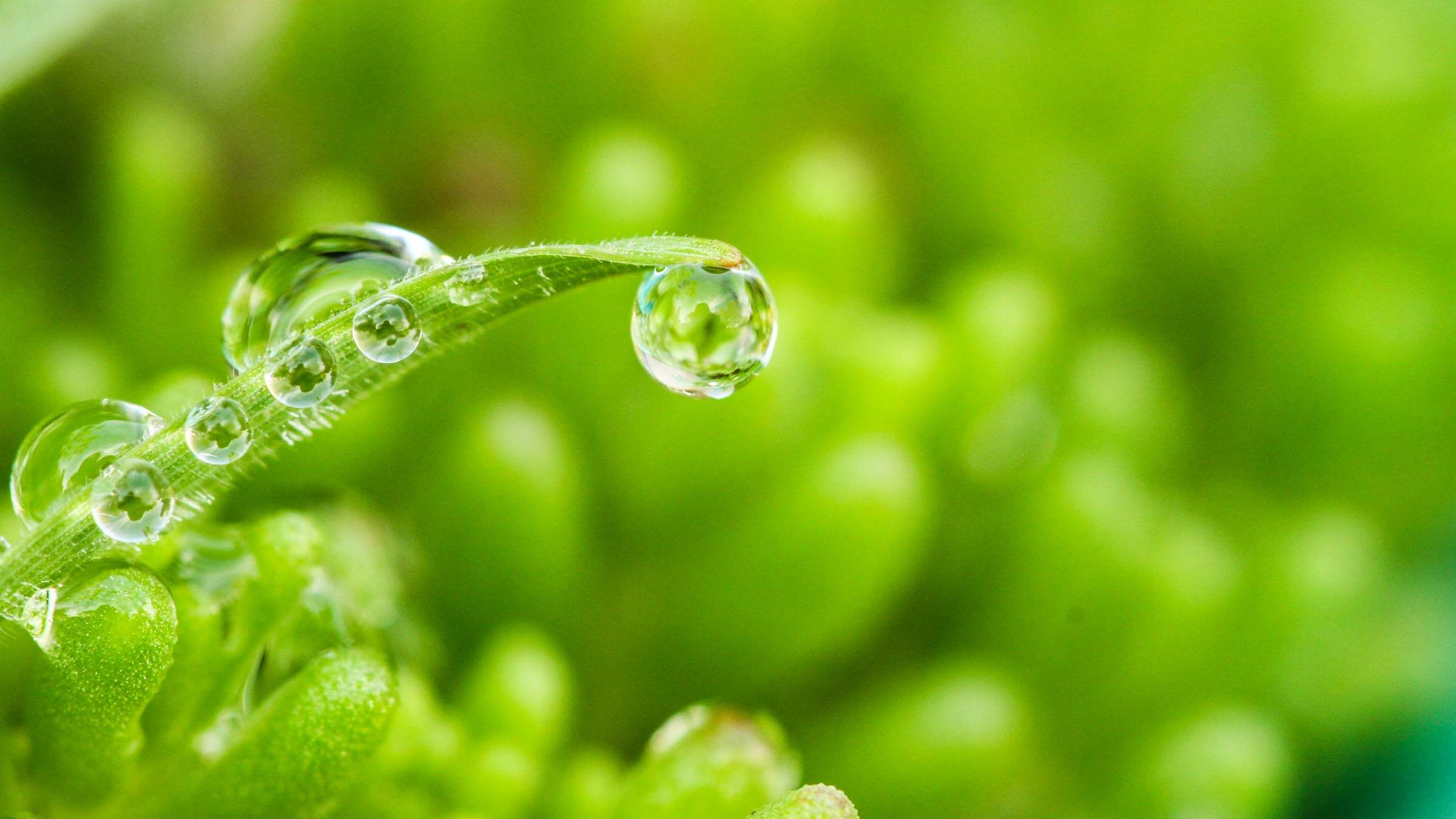 Online Study Group Meeting for Monday (4/24/2023)