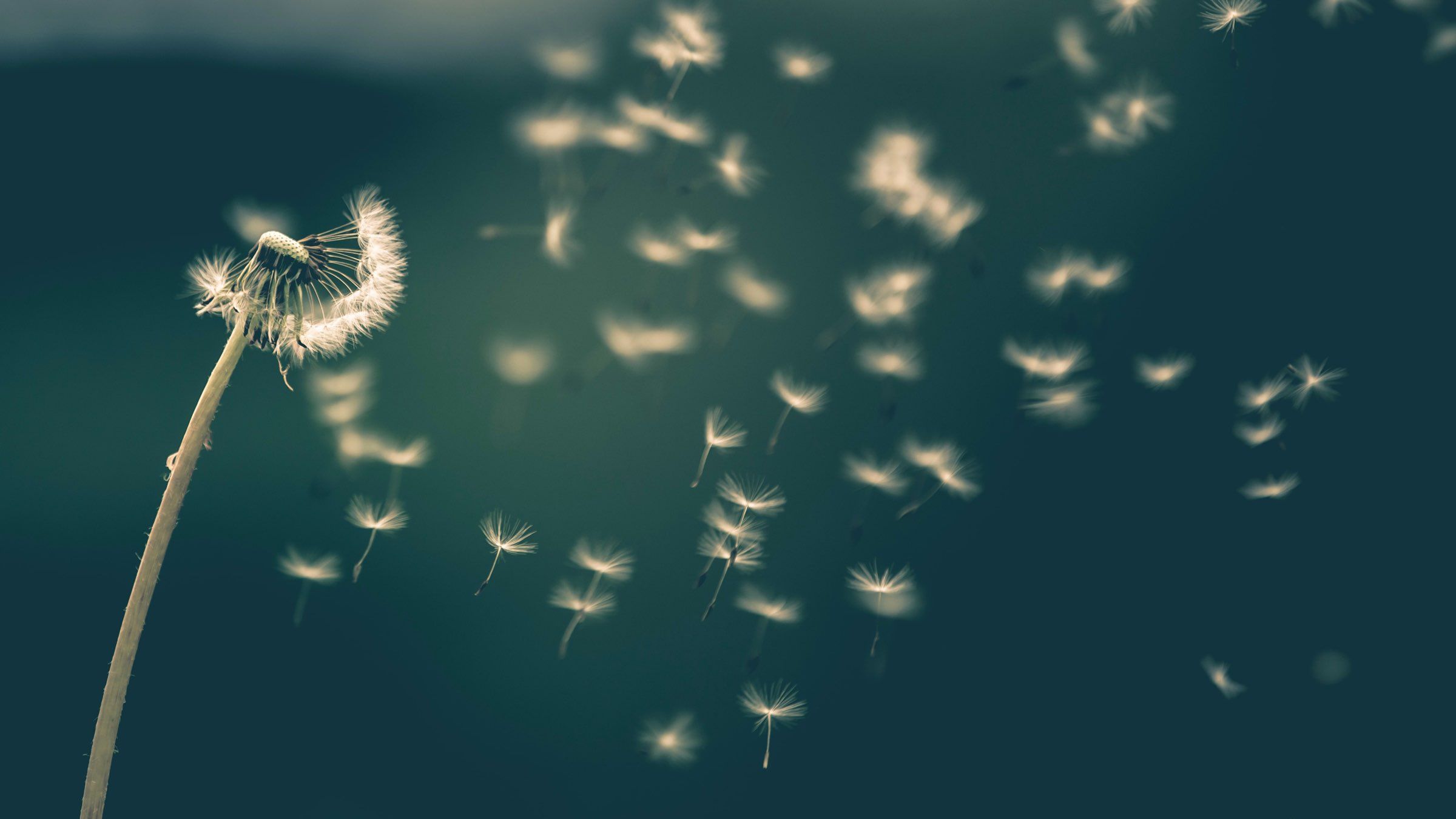 Release Your Resistance to Life and Realize Your True Self