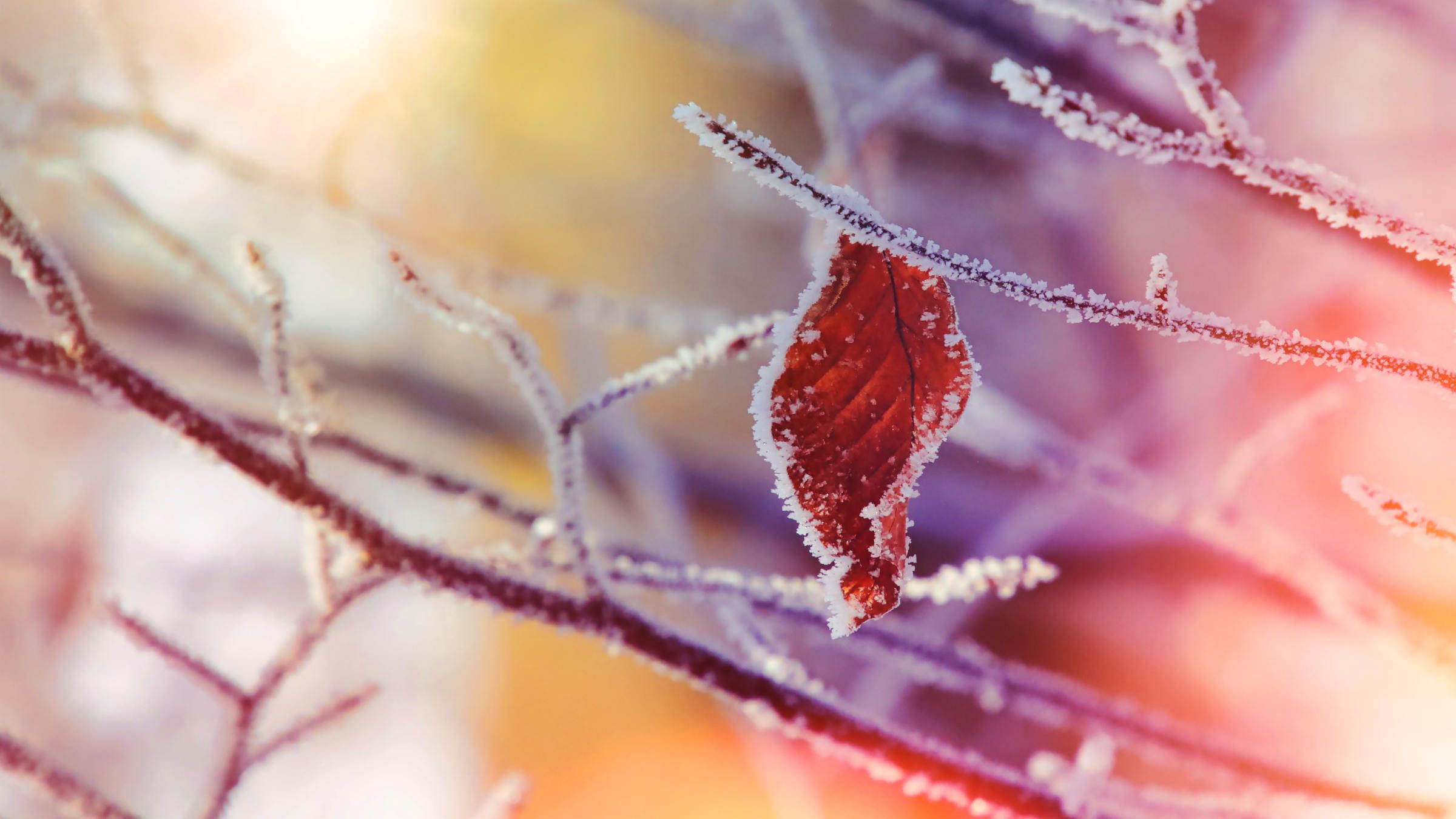 End the Great Tempest and Torment of Living in the Past