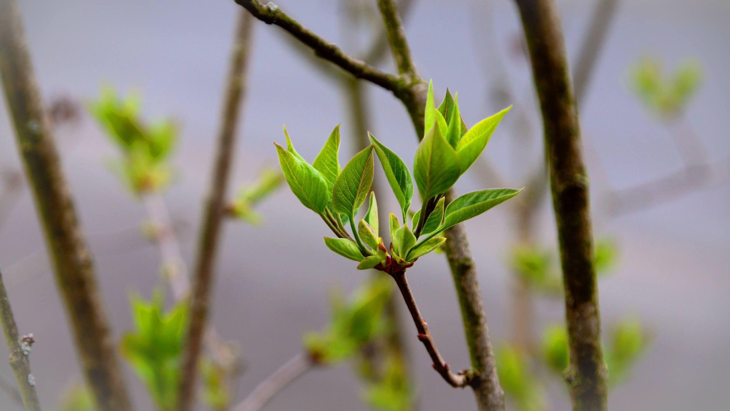 5 New Actions to Take in Any Anxious or Fearful Moment