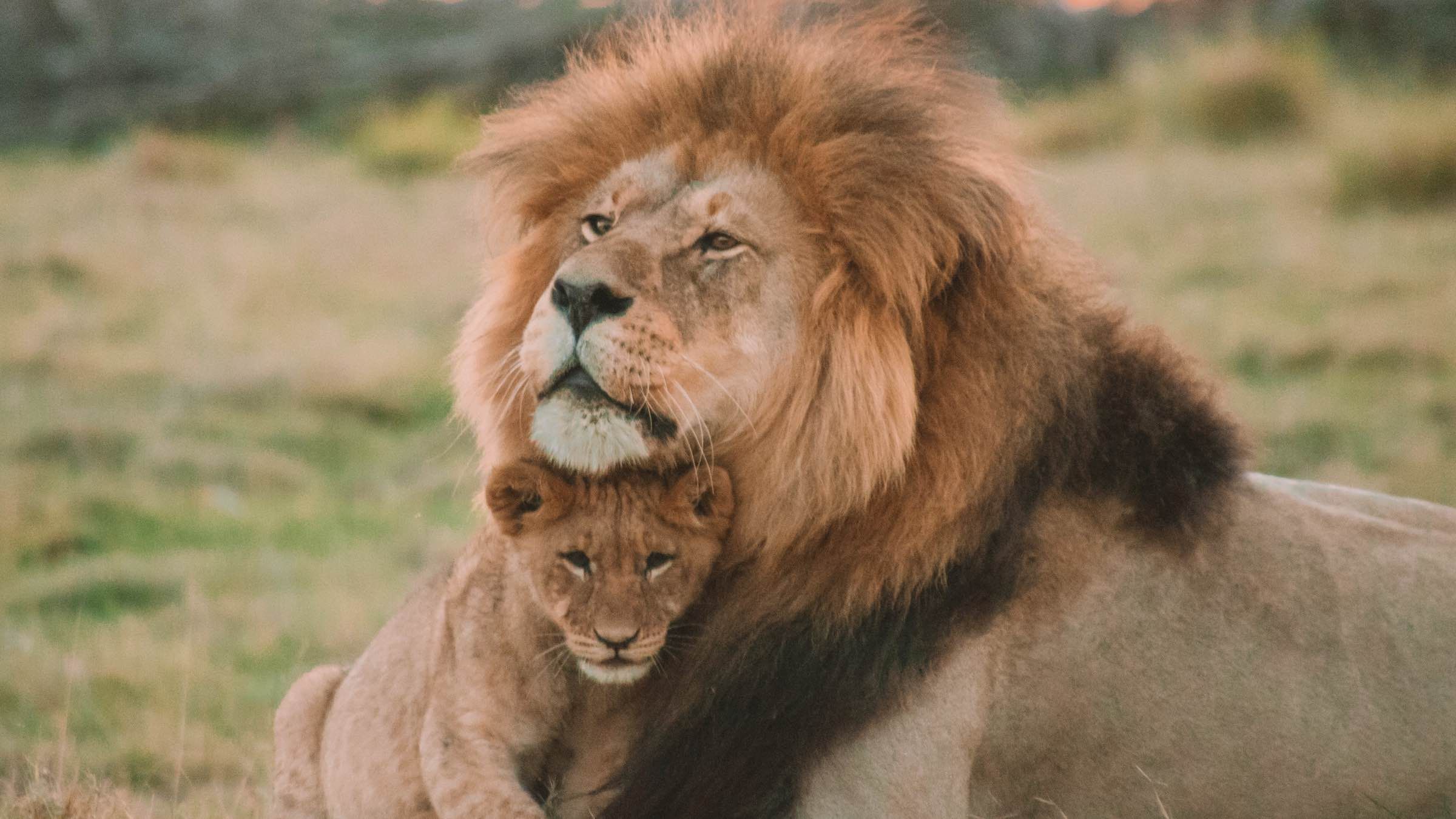 Student Q&A with Guy on 