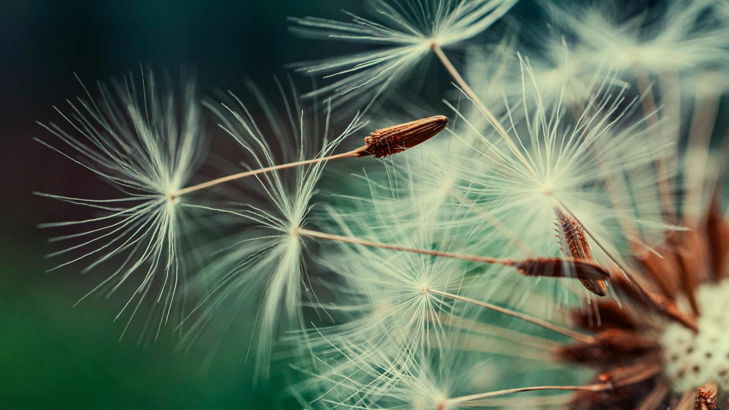 Healing Begins with the Awareness that Something is Out of Order