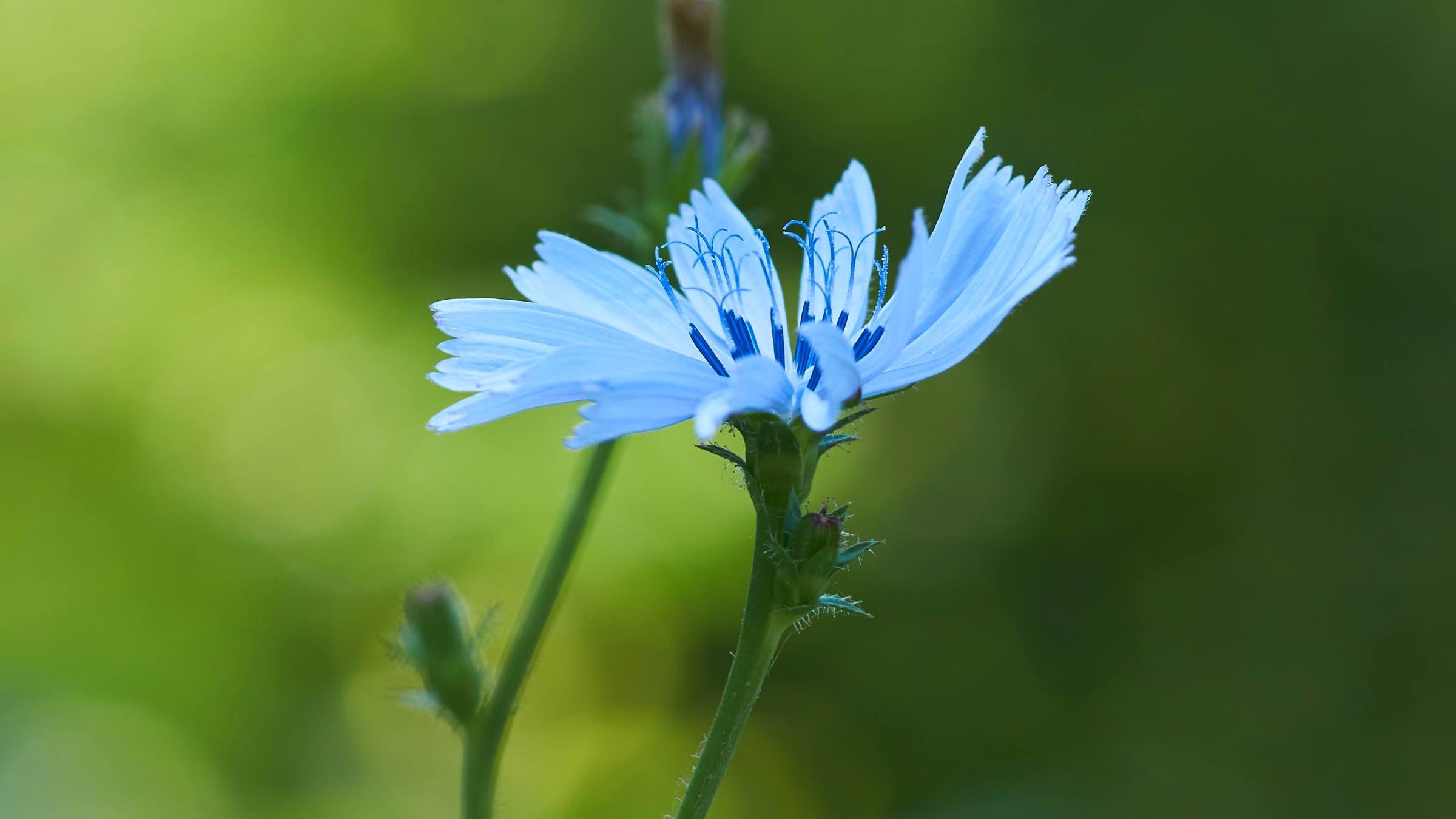 Online Study Group Meeting for Monday (6/15/2020)