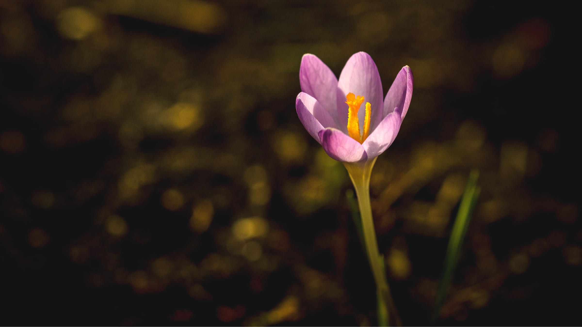 Online Study Group Meeting for Tuesday (4/7/2020)