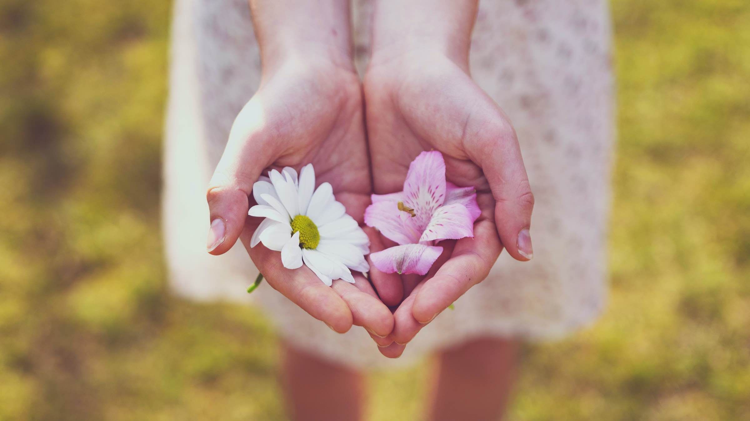 Online Study Group Meeting for Tuesday (4/21/2020)