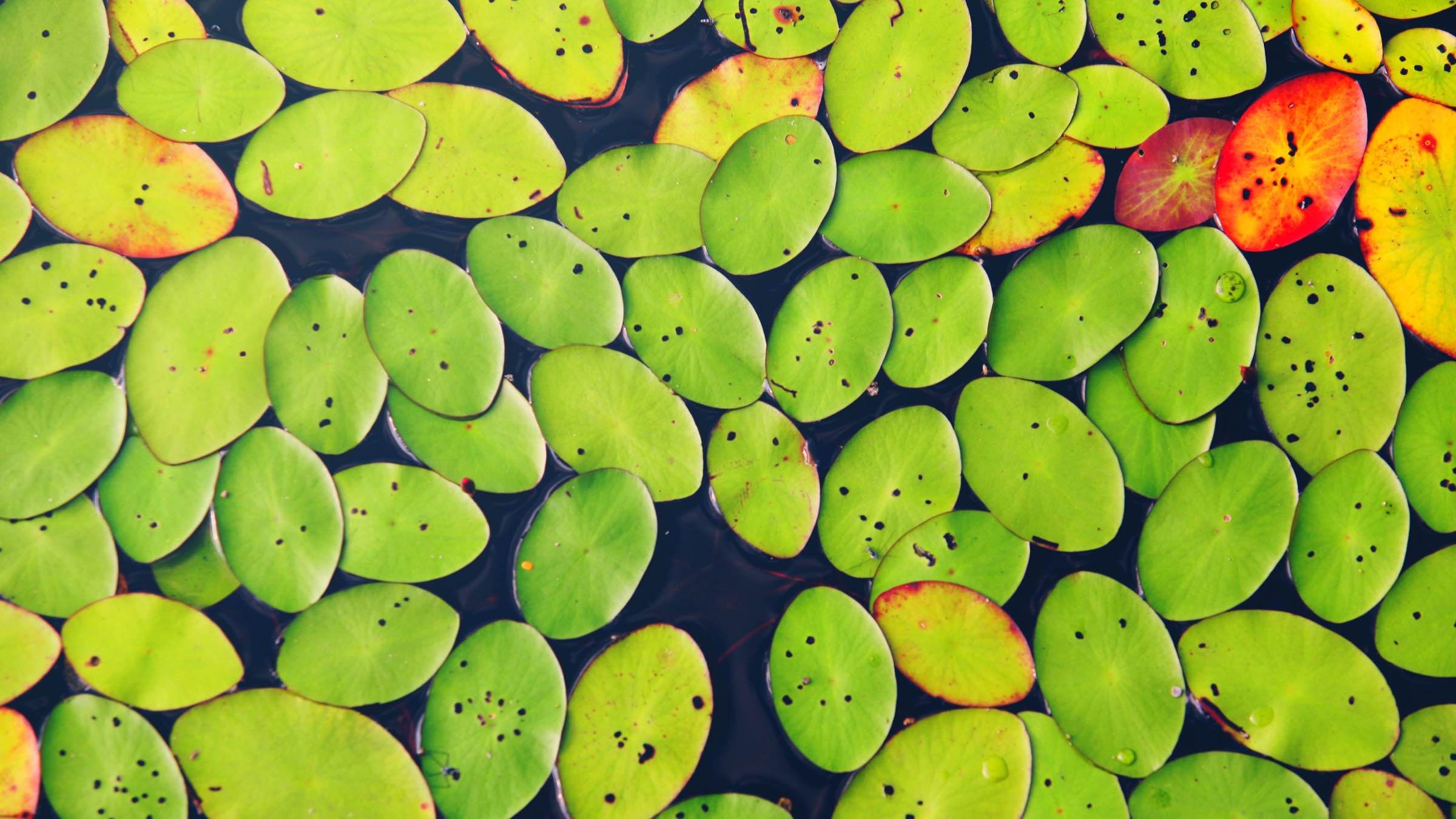 Online Study Group Meeting for Monday (6/22/2020)