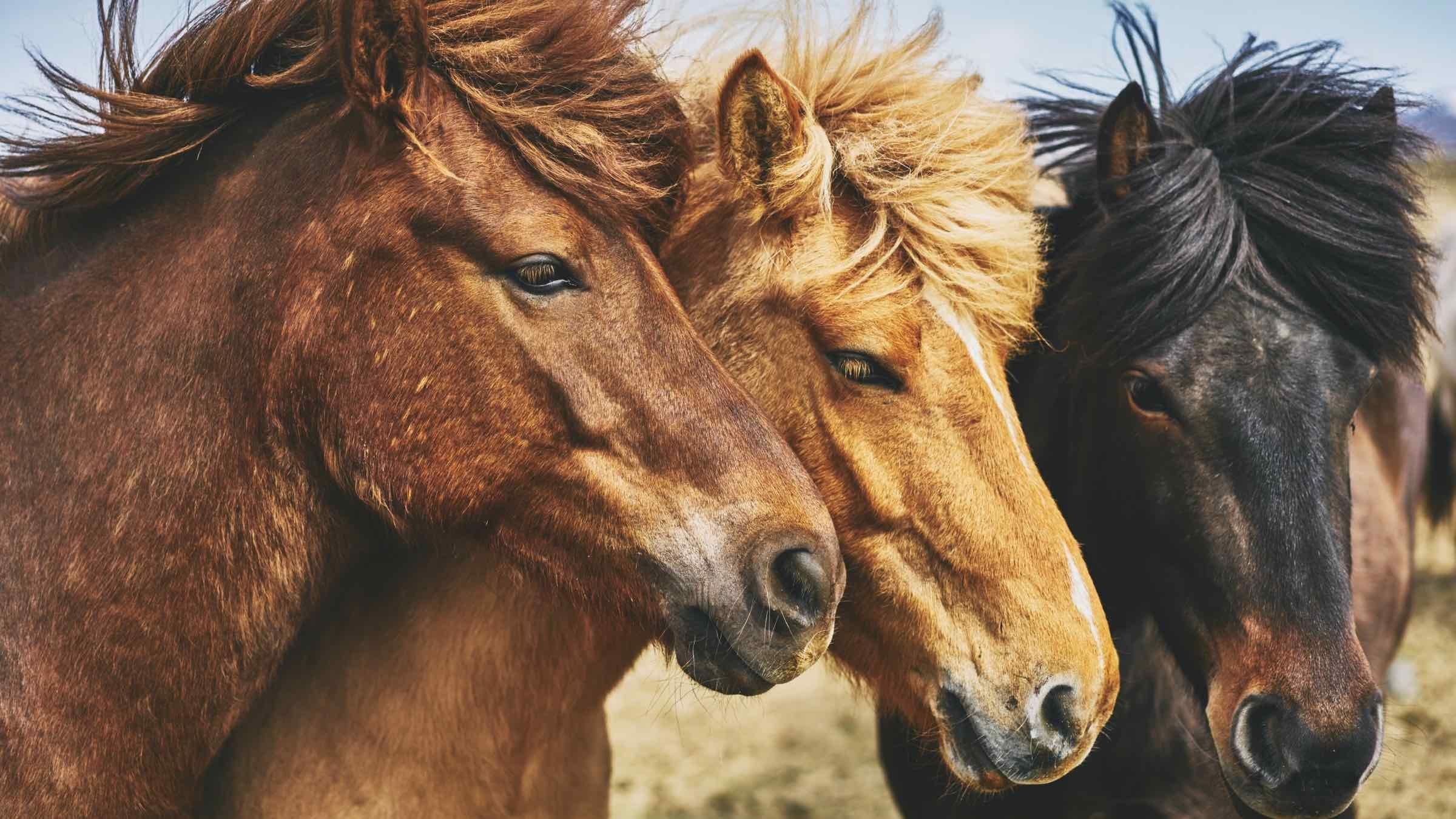 Online Study Group Meeting for Monday (6/29/2020)