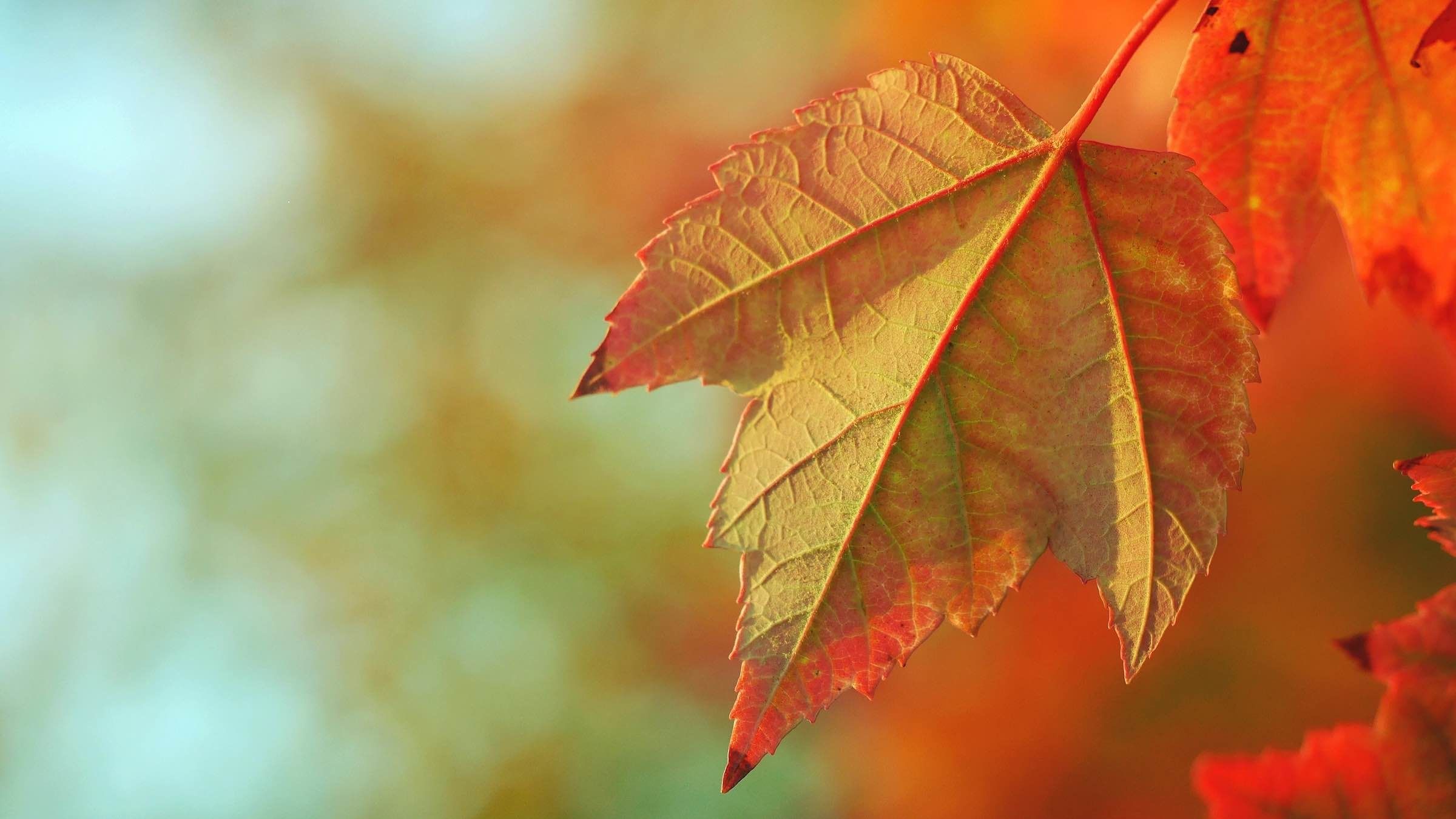 Online Study Group Meeting for Monday (9/28/2020)