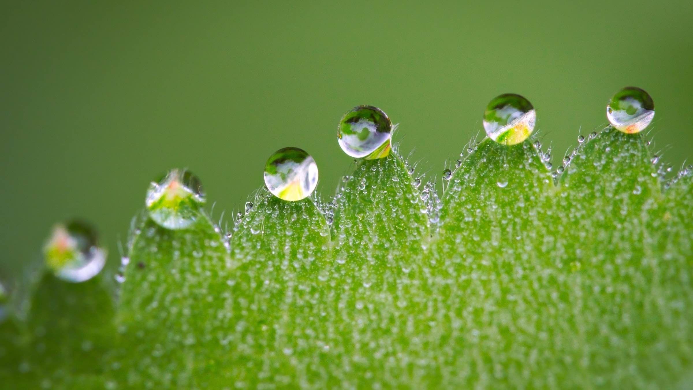 Online Study Group Meeting for Monday (8/10/2020)