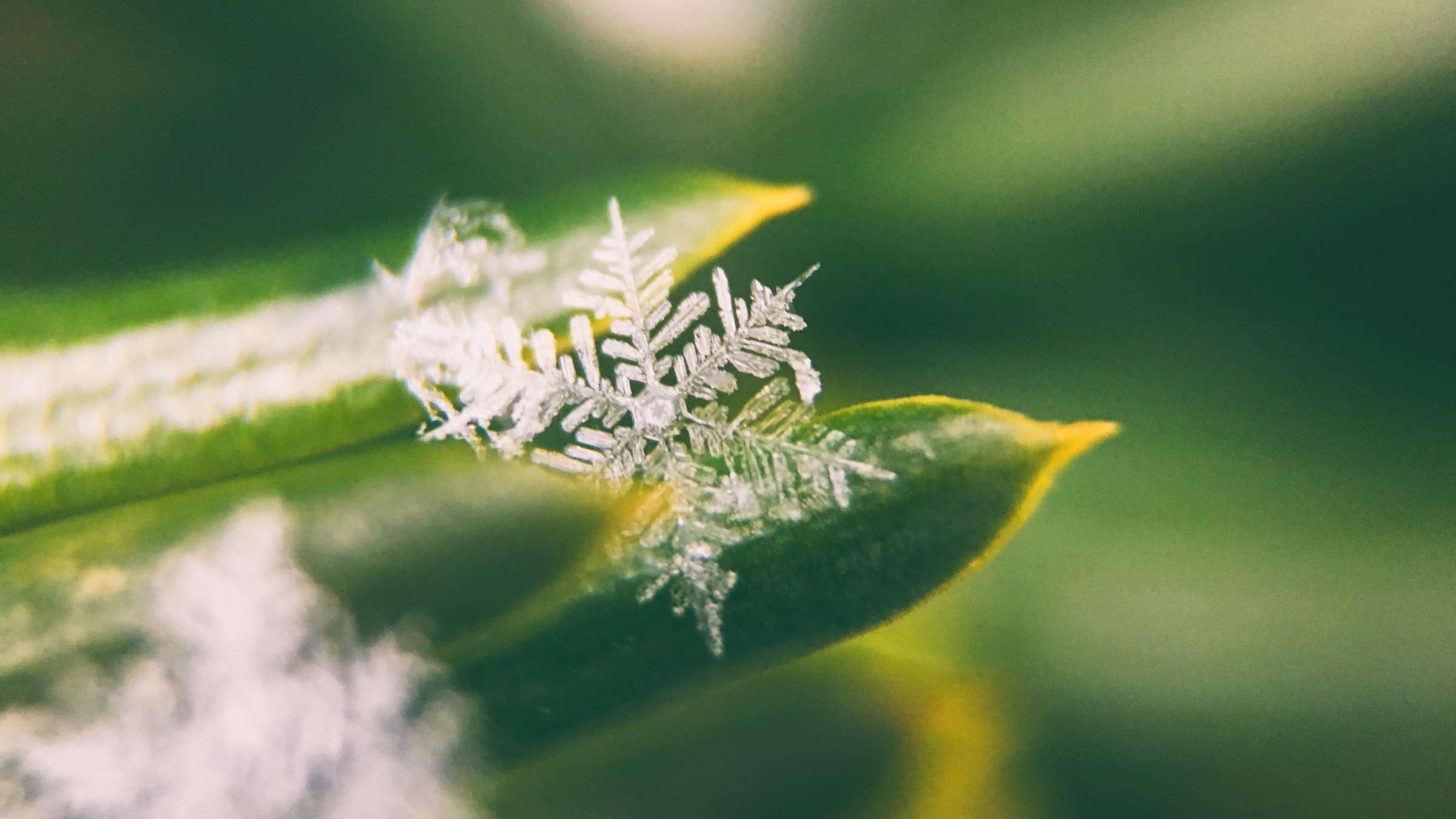 Online Study Group Meeting for Monday (10/26/2020)