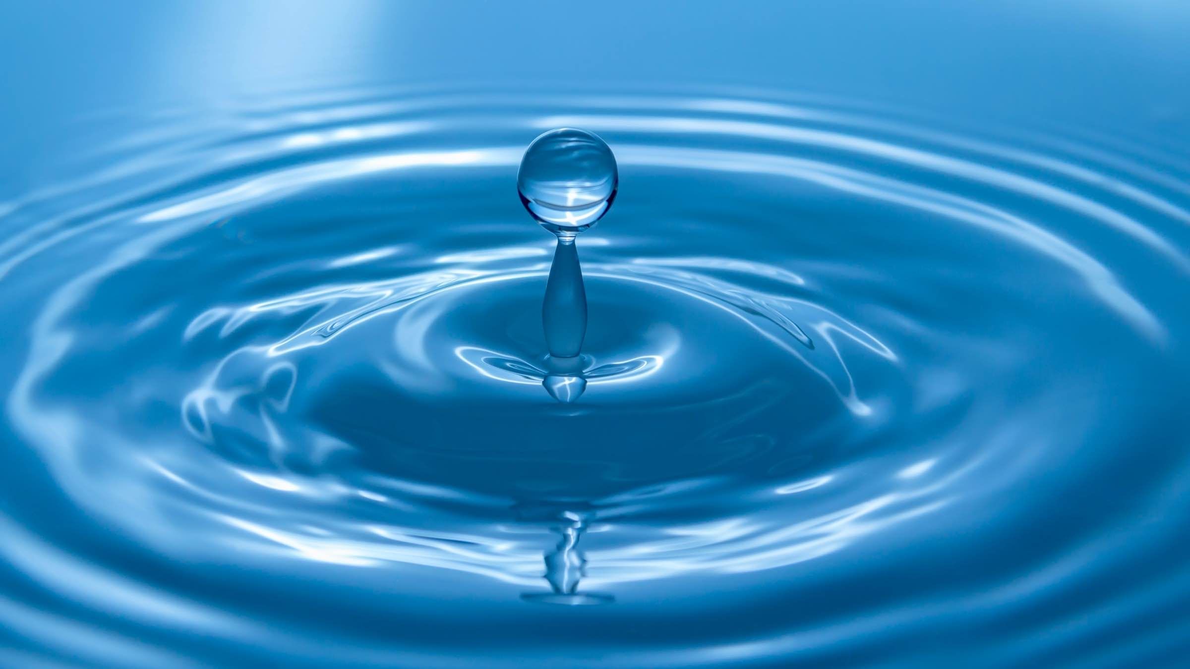 Online Study Group Meeting for Monday (9/21/2020)