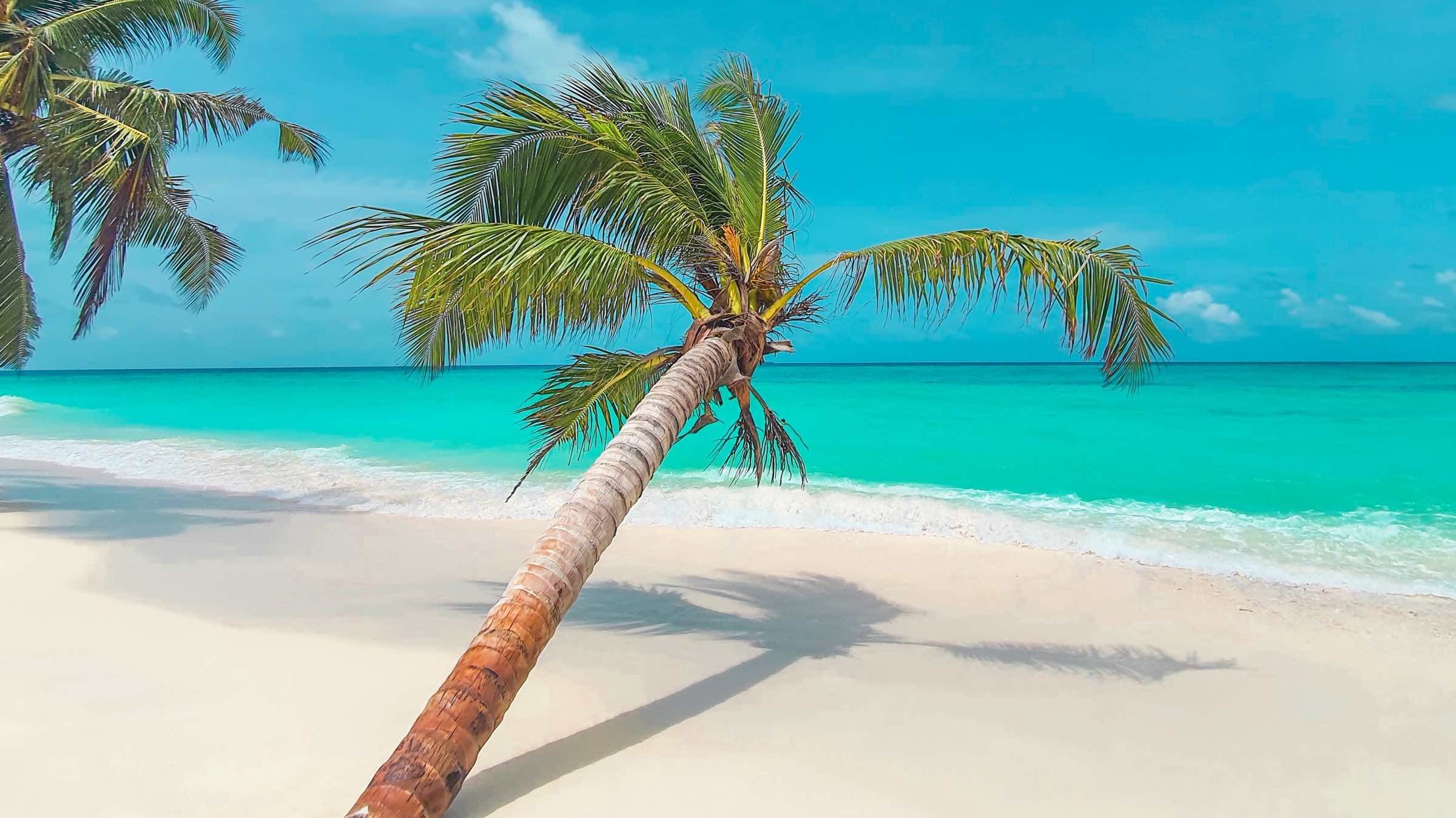 The Power to Stop, Drop, & Release Painful Thoughts and Feelings