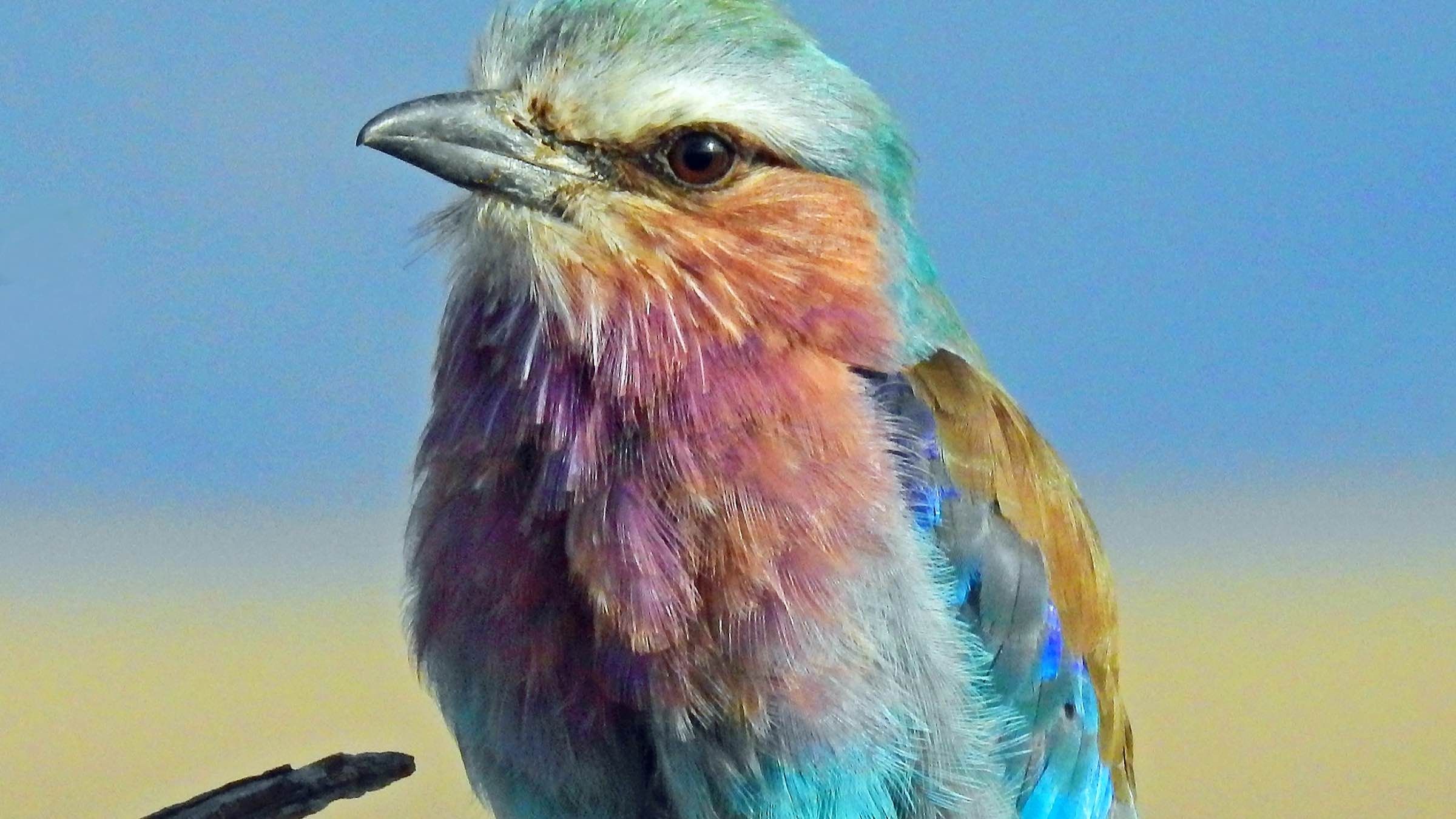 Online Study Group Meeting for Tuesday (6/30/2020)