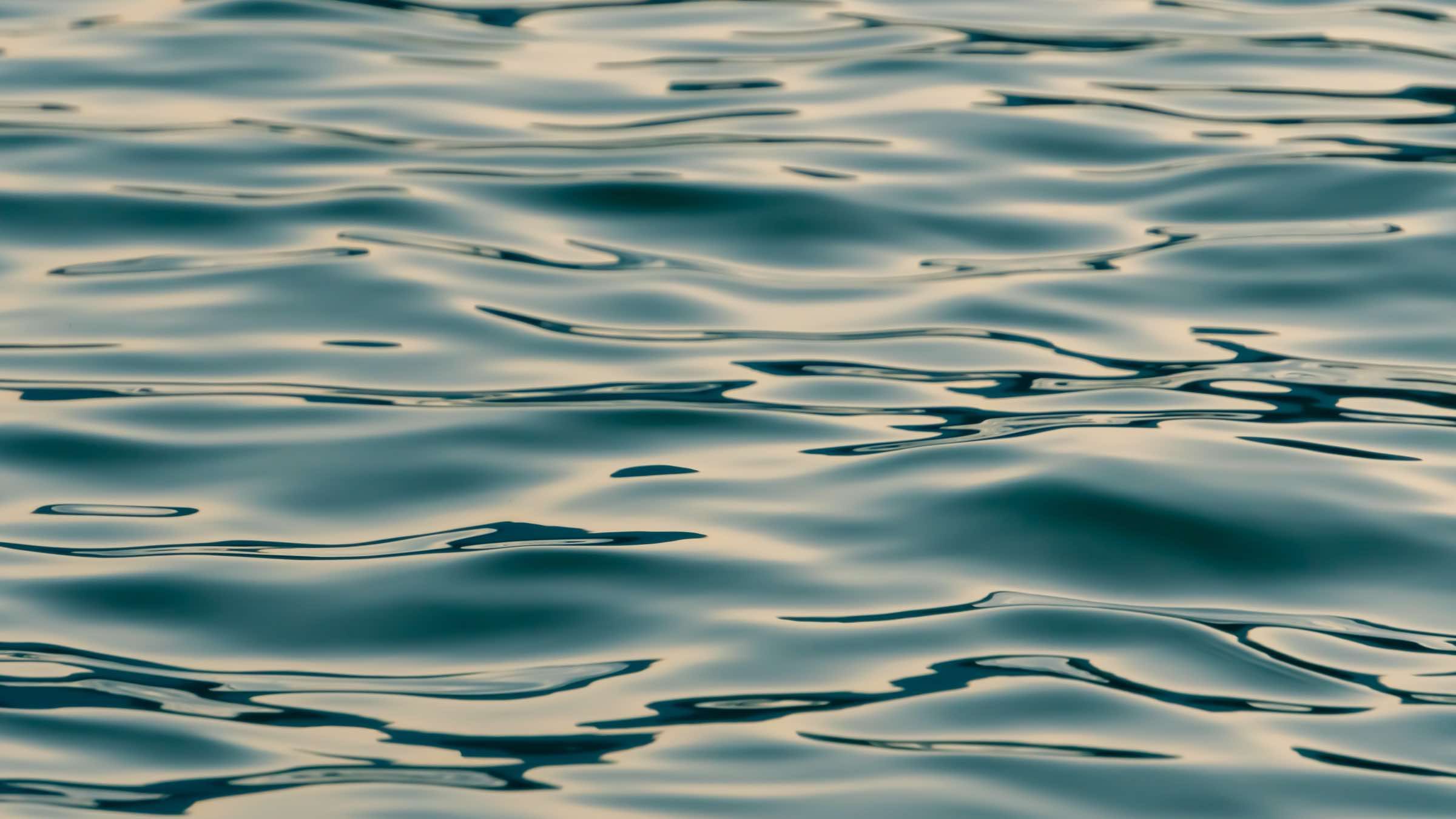 Let Go and Flow with Real Life