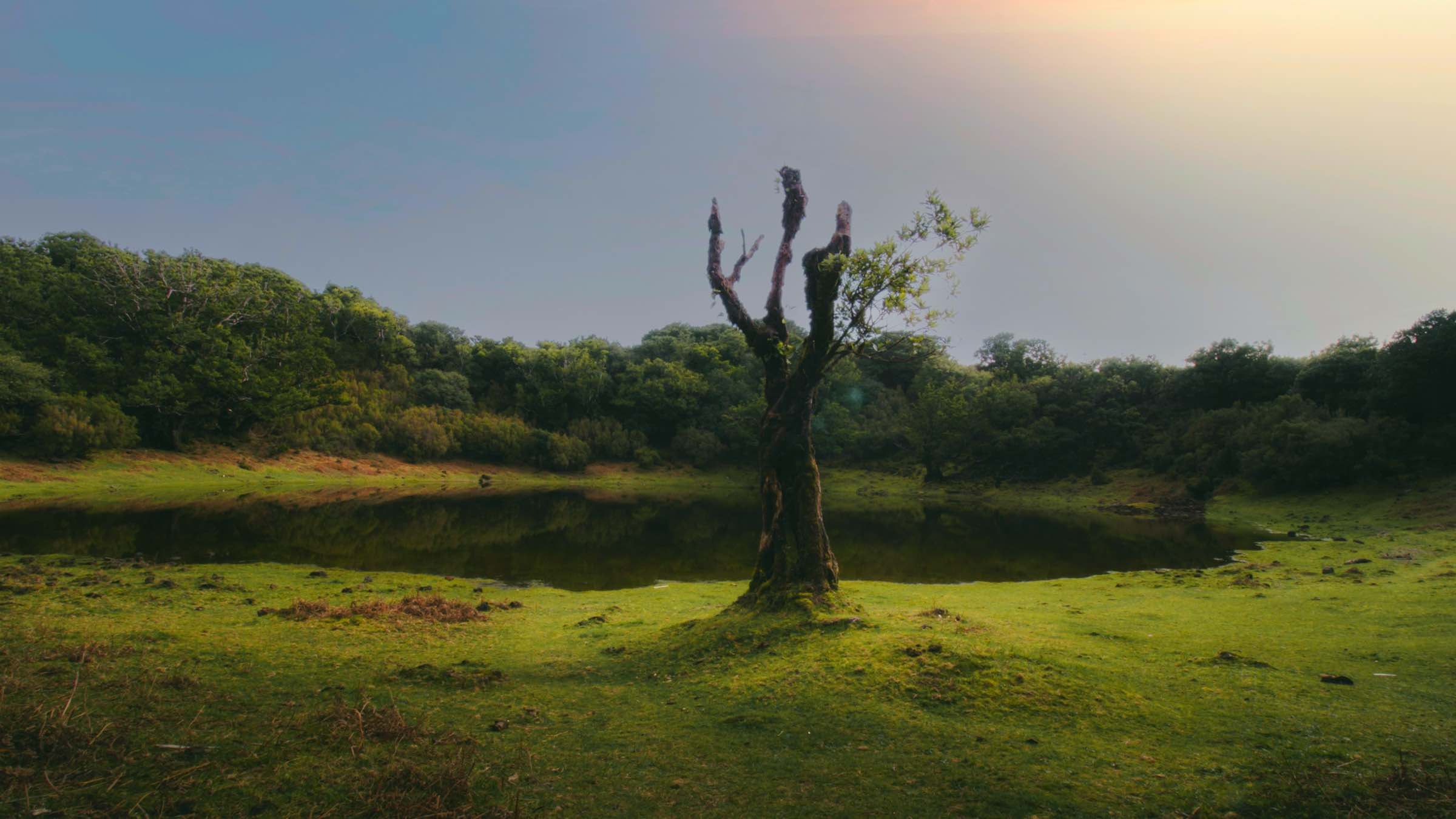 Student Q&A with Guy on 'Escape the Prison Called the 