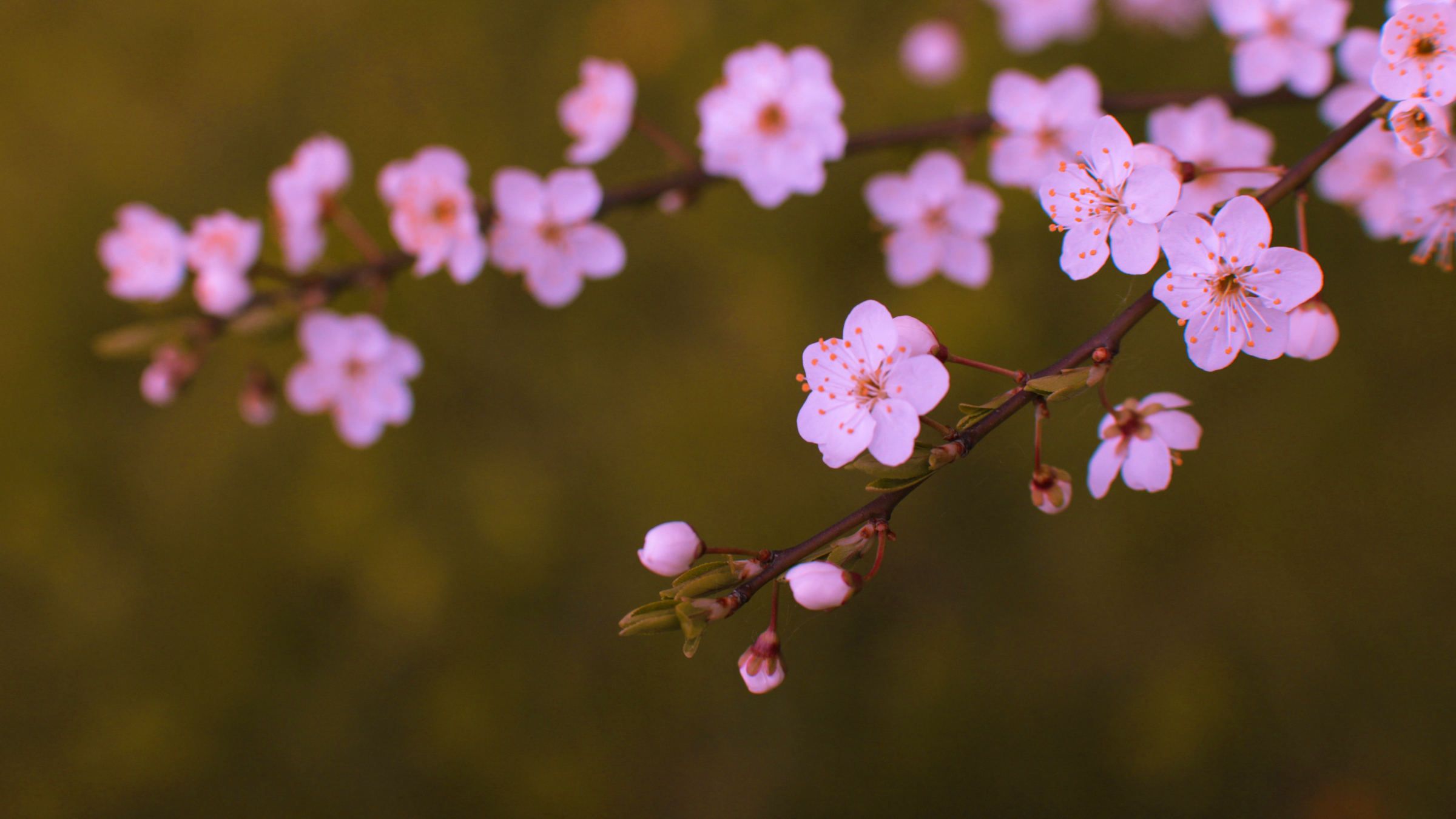 Student Q&A with Guy on 