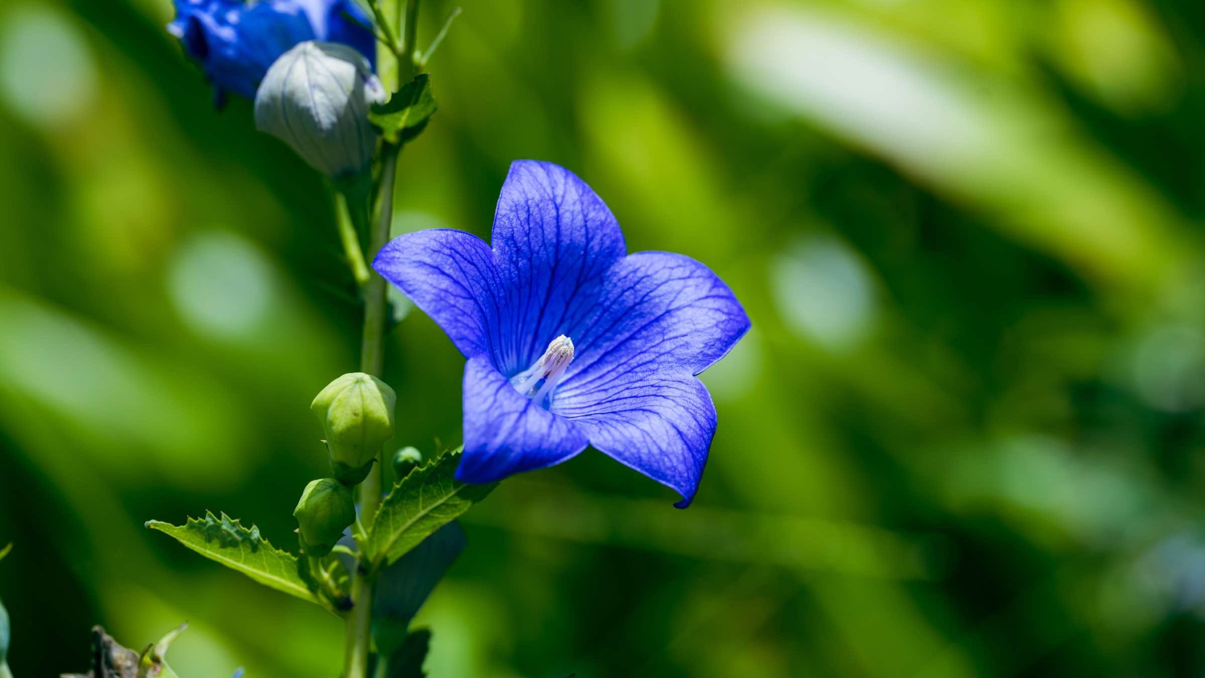 Online Study Group Meeting for Monday (4/17/2023)