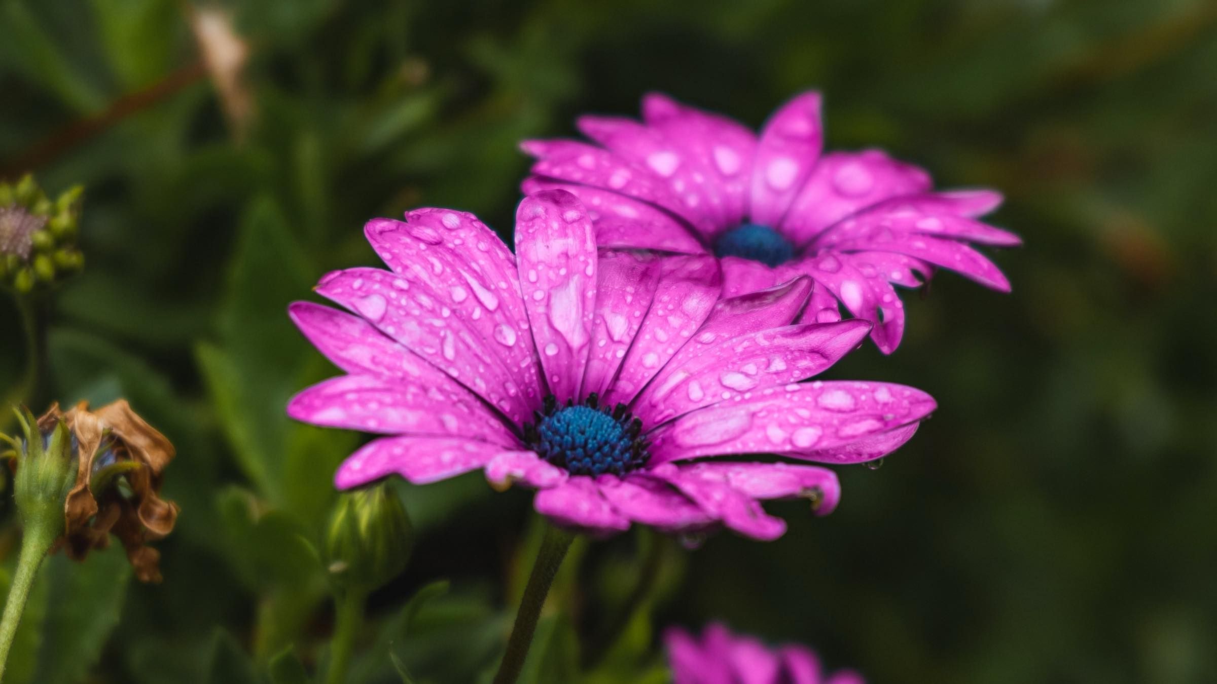 Online Study Group Meeting for Monday (2/27/2023)