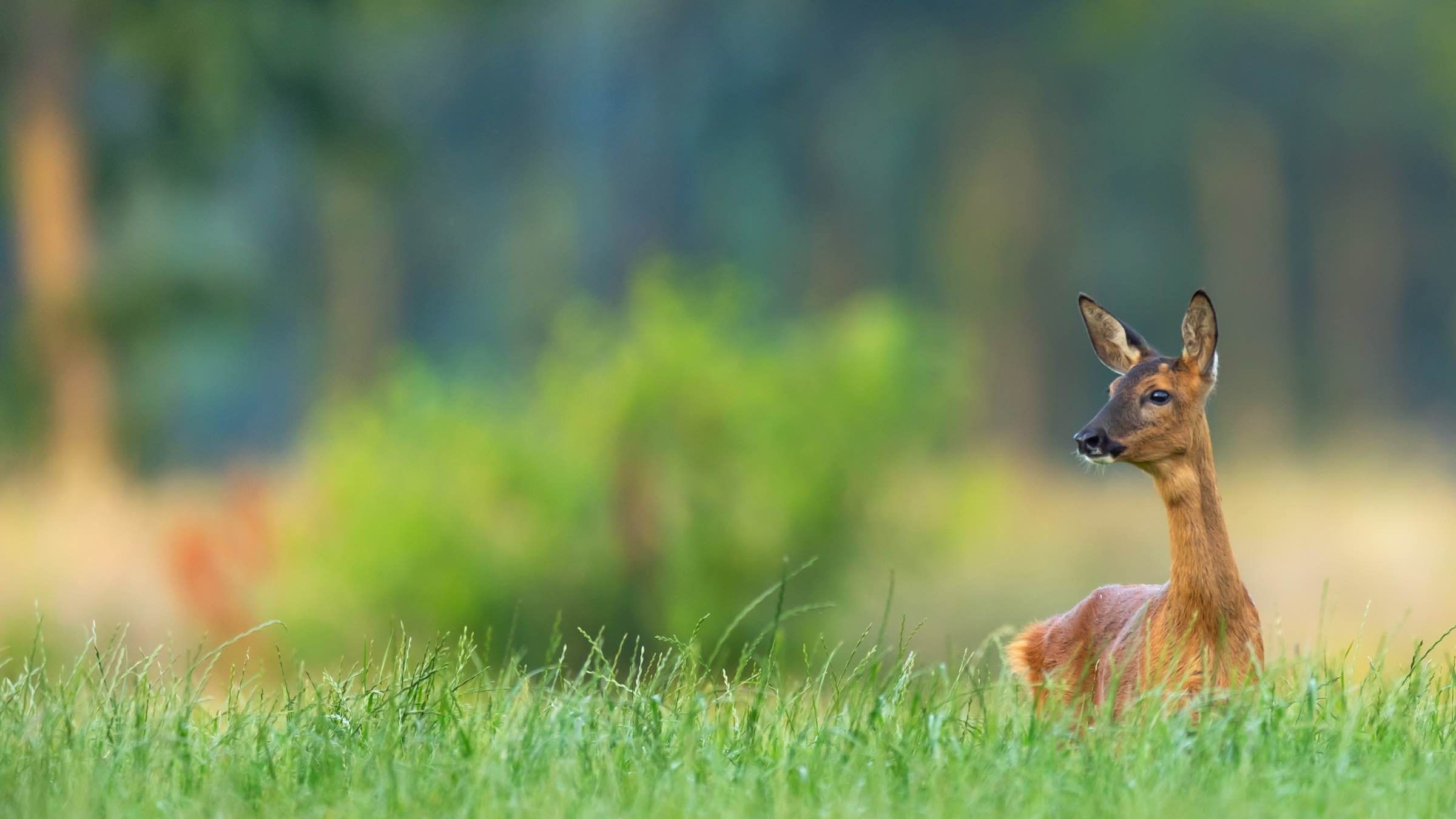 Online Study Group Meeting for Monday (7/13/2020)