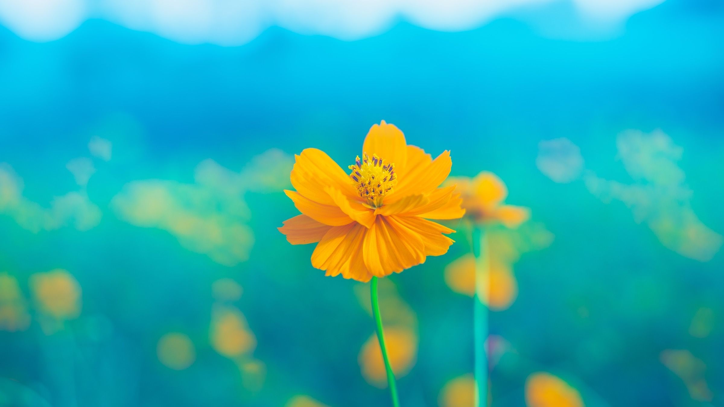 Start Seeing Yourself Through the Eyes of Love