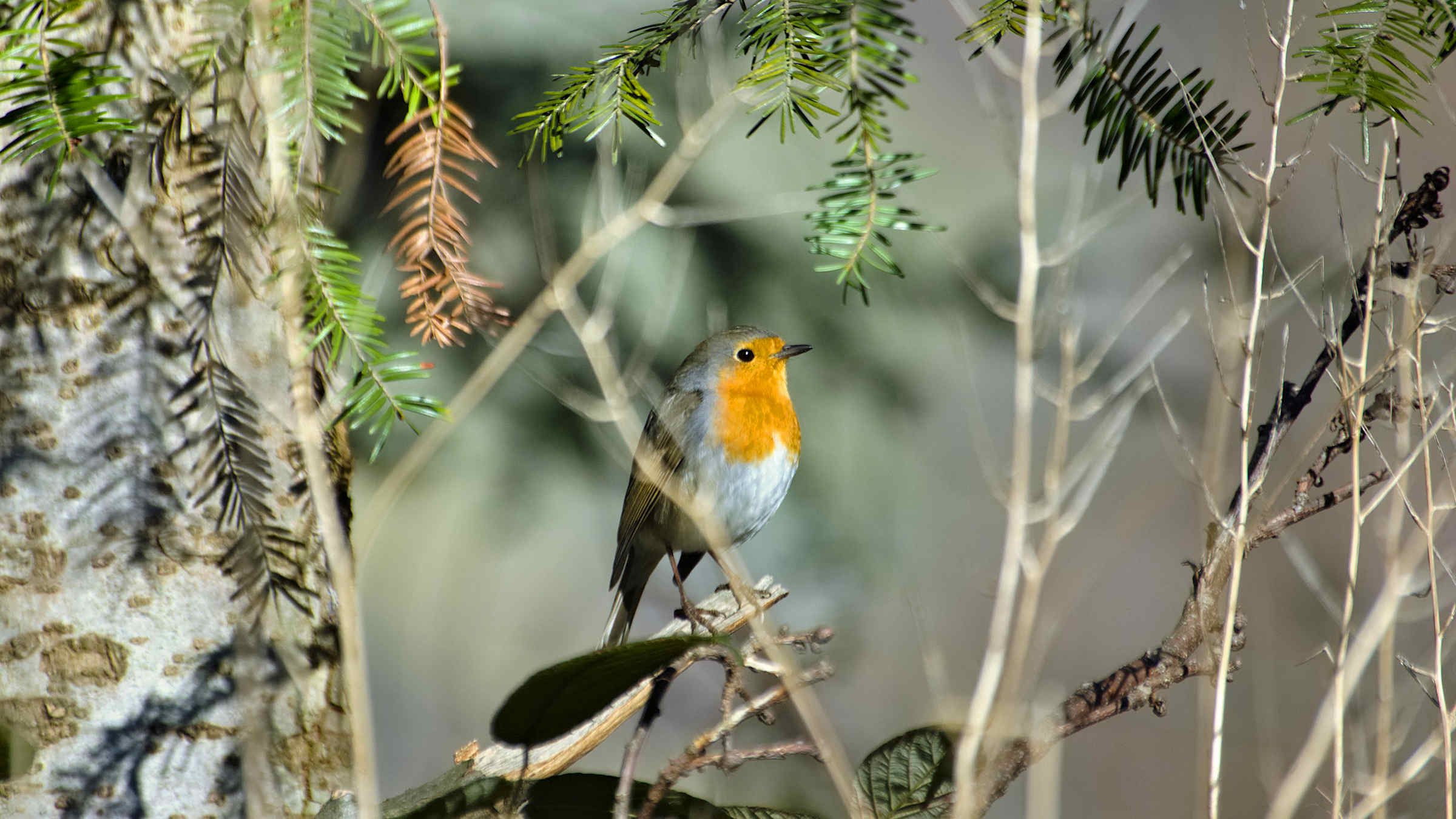 You're Bigger Than Any Moment You Fear