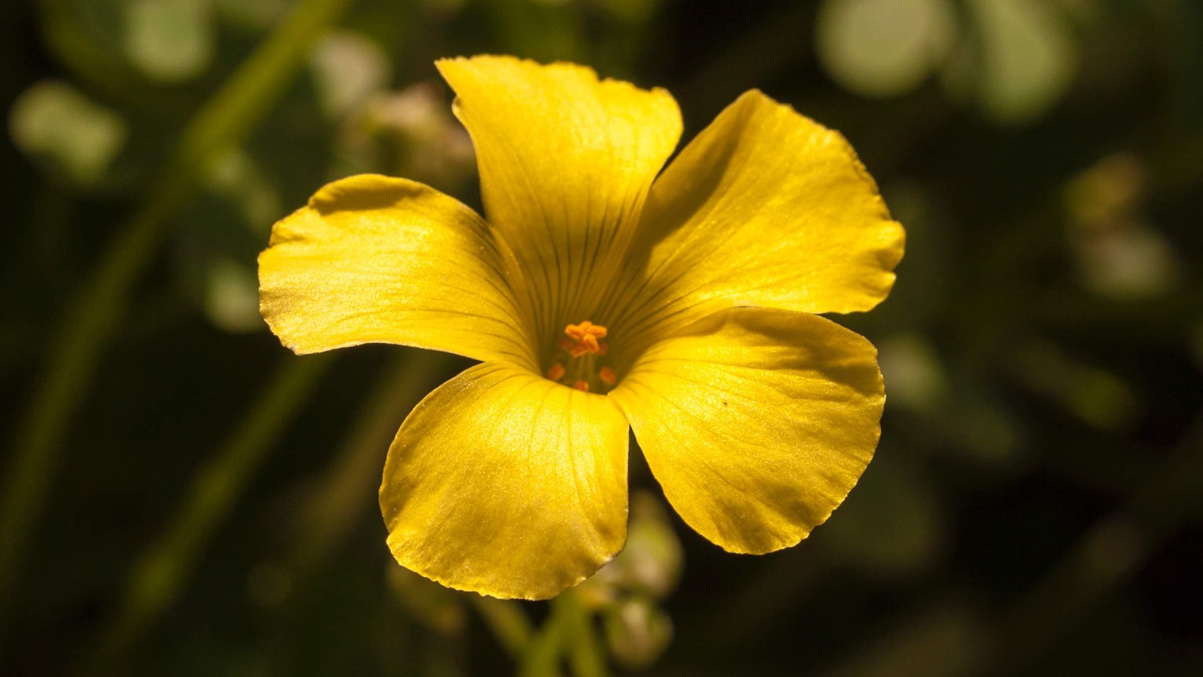 Let this Conscious Action Take the Place of Getting Upset