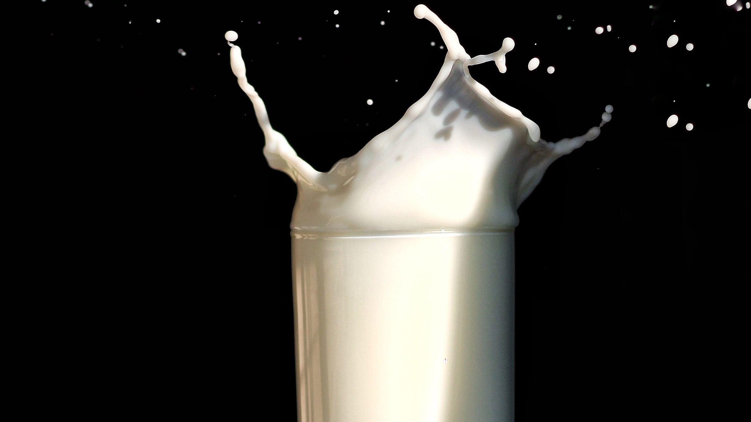 Learn in the Present Moment and Disarm Any Regret