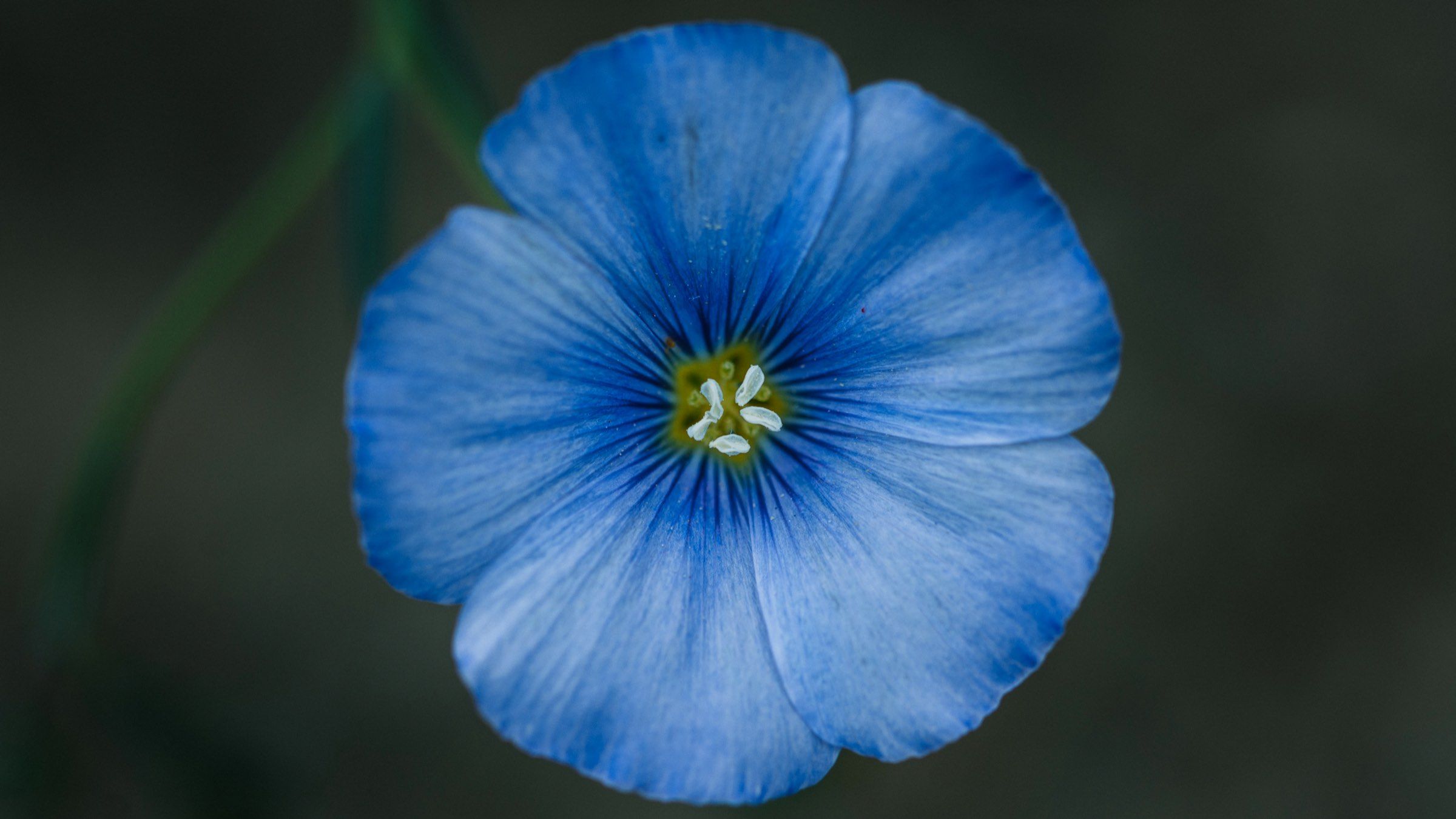 Take the New Action that Leads to Reconciliation