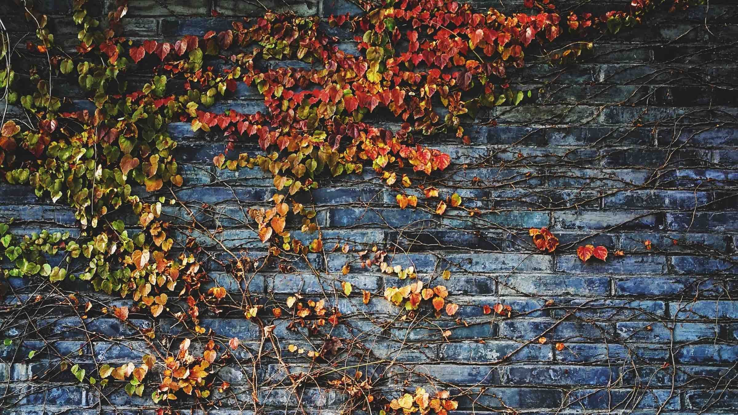 The Unthinkable Ground of a New Order of Self