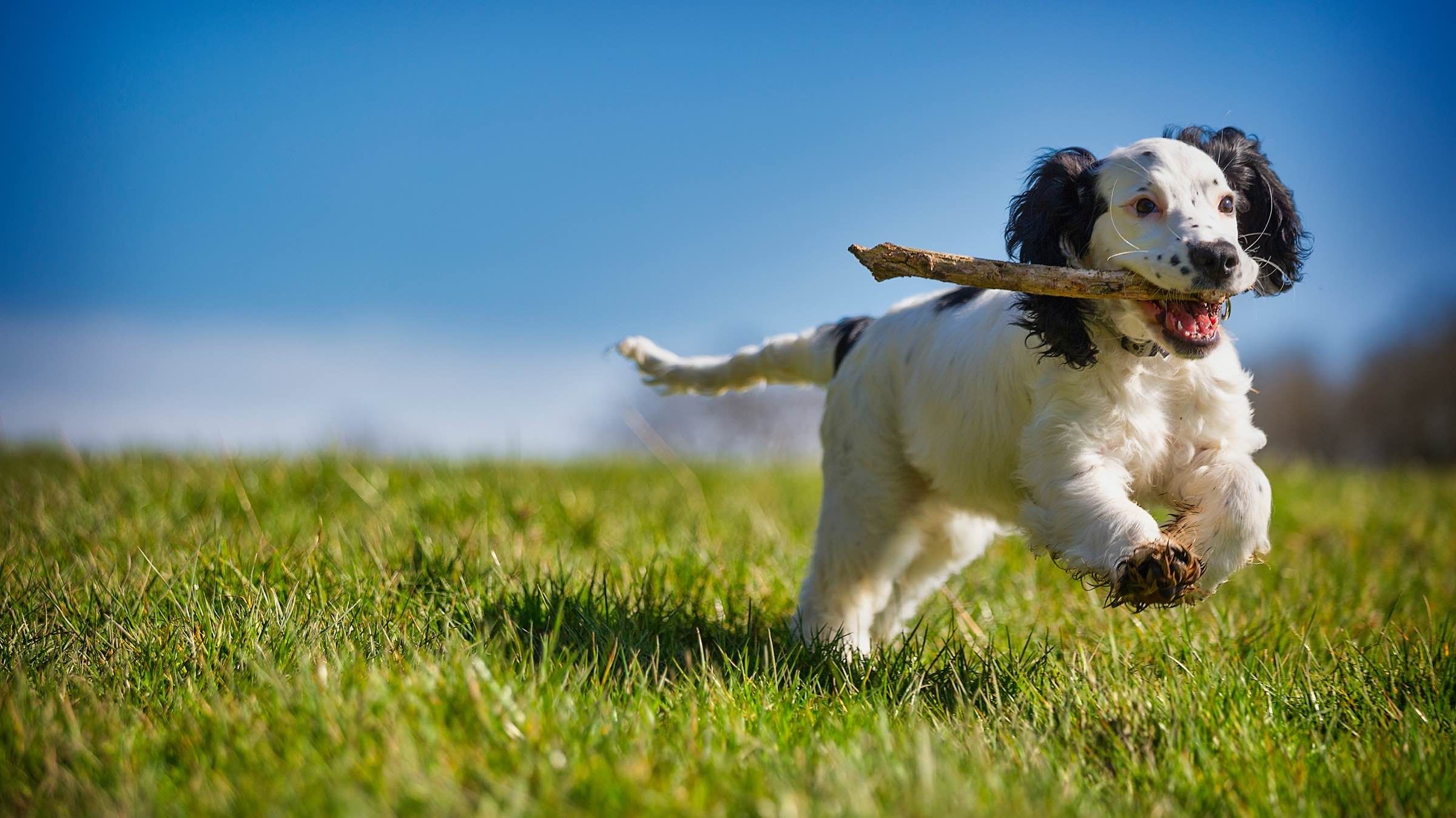 Desire Can Never Know Lasting Contentment