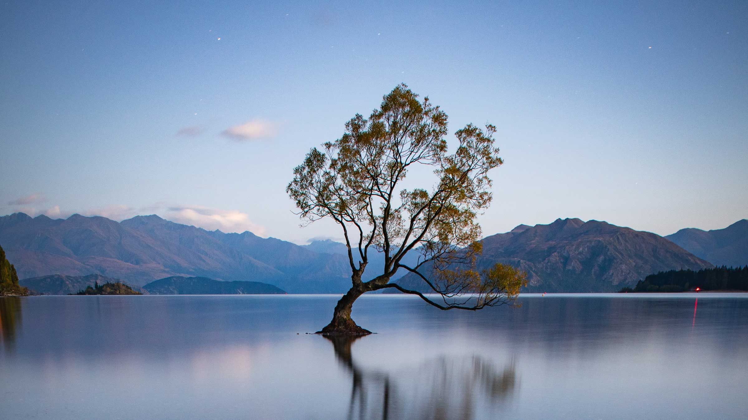 There's No Real Substitute For Being Free