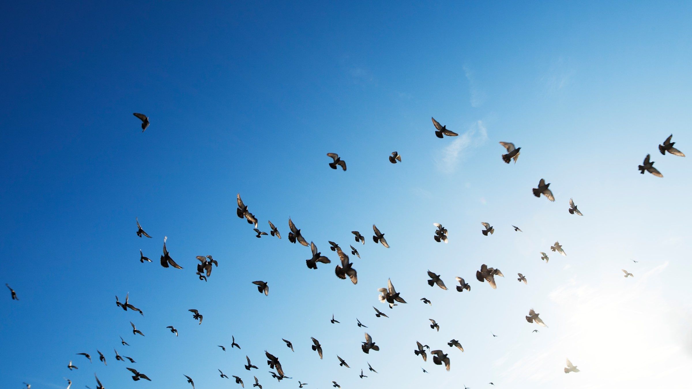 How to Free Yourself From Any Fear... No Matter What!